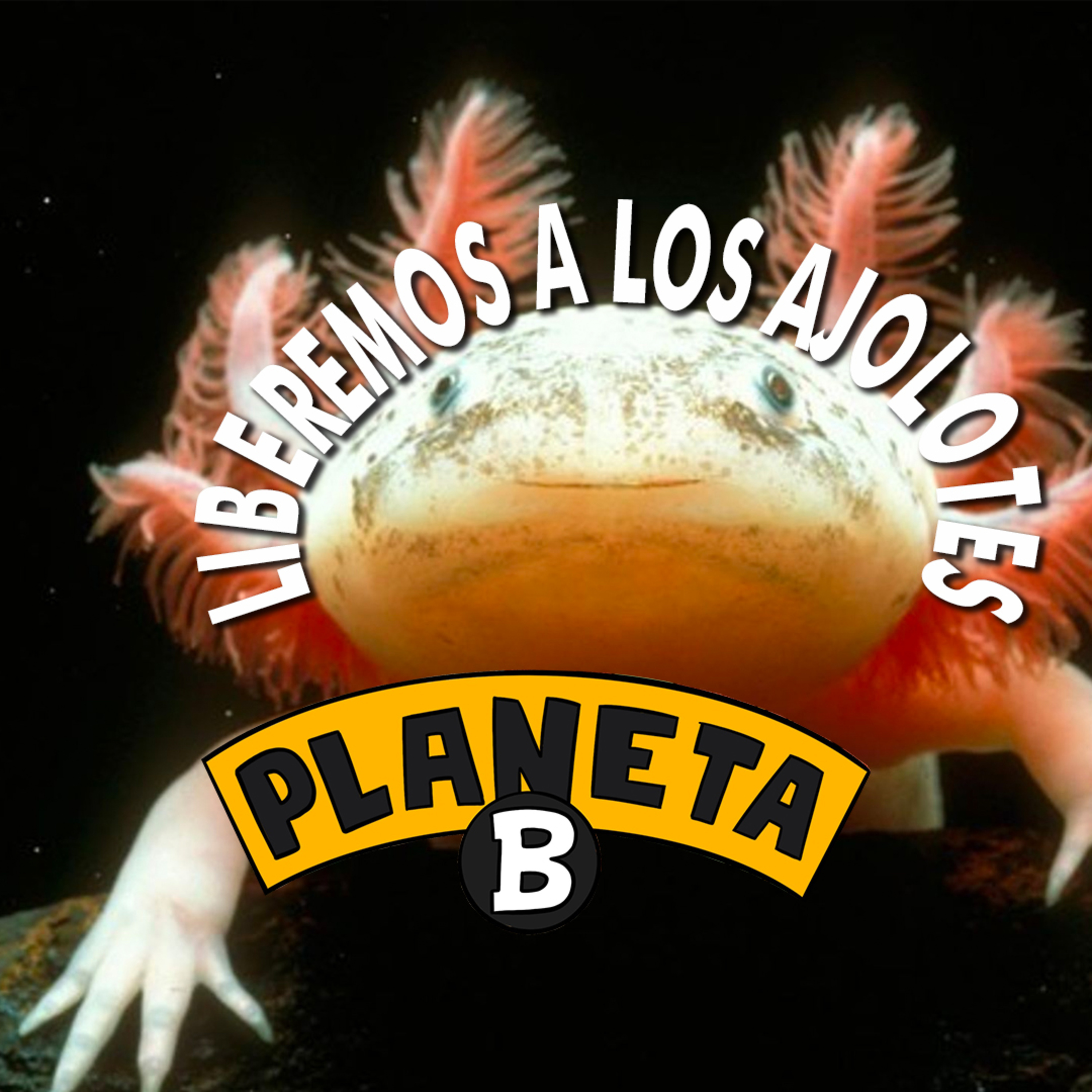 15 Free Axolotl // Planeta B