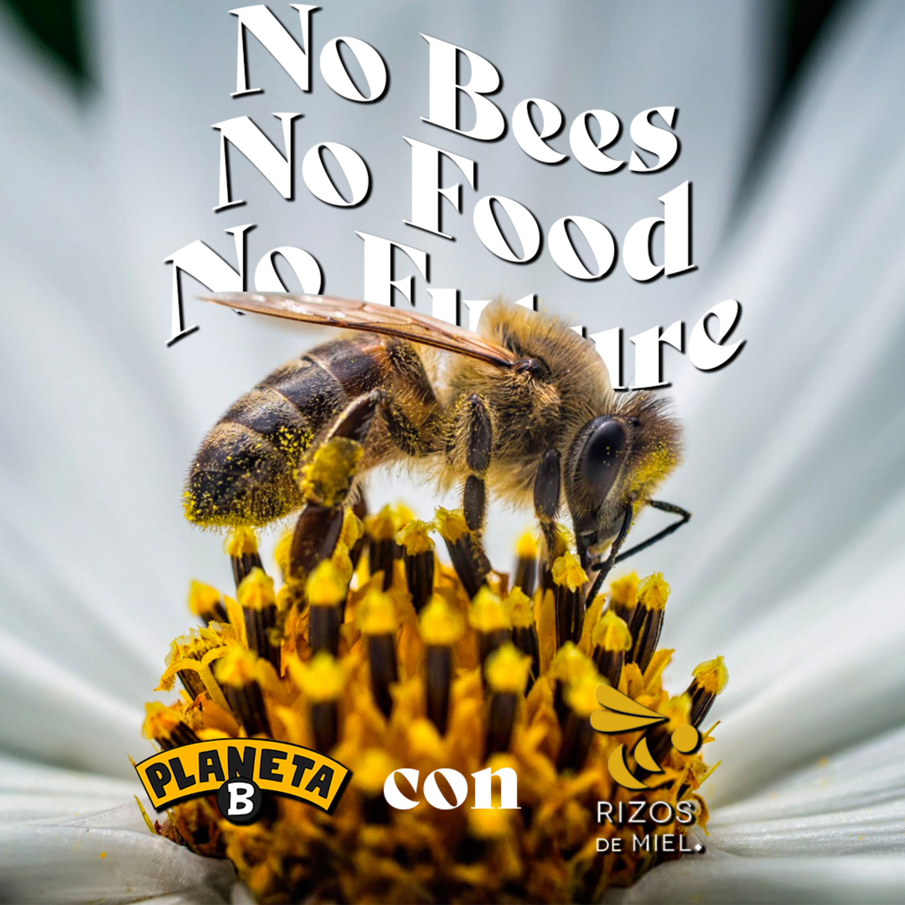 38 Un futuro sin abejas no es posible c Rizos de Miel // Planeta B