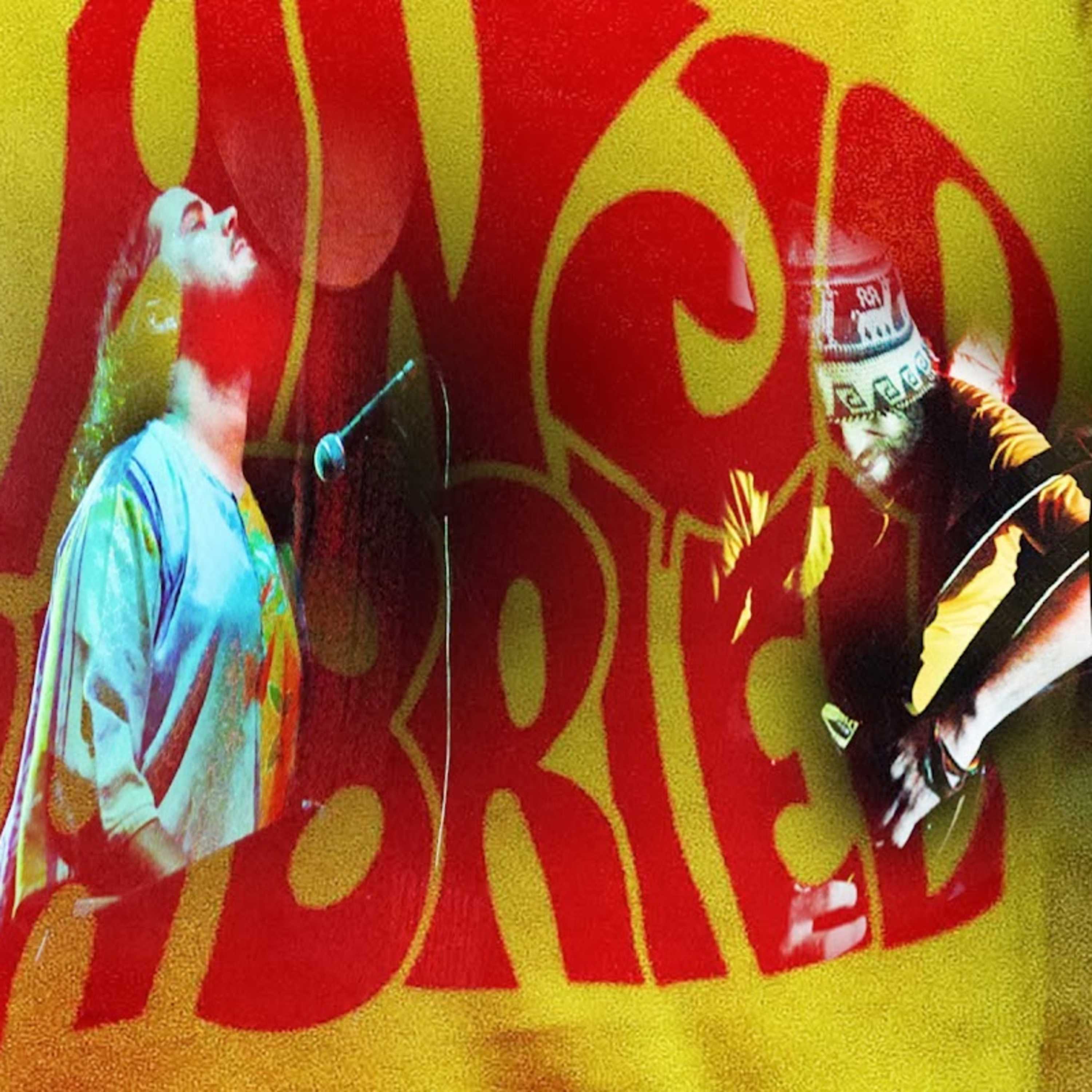 Programa Coquetel Molotov - Acervo