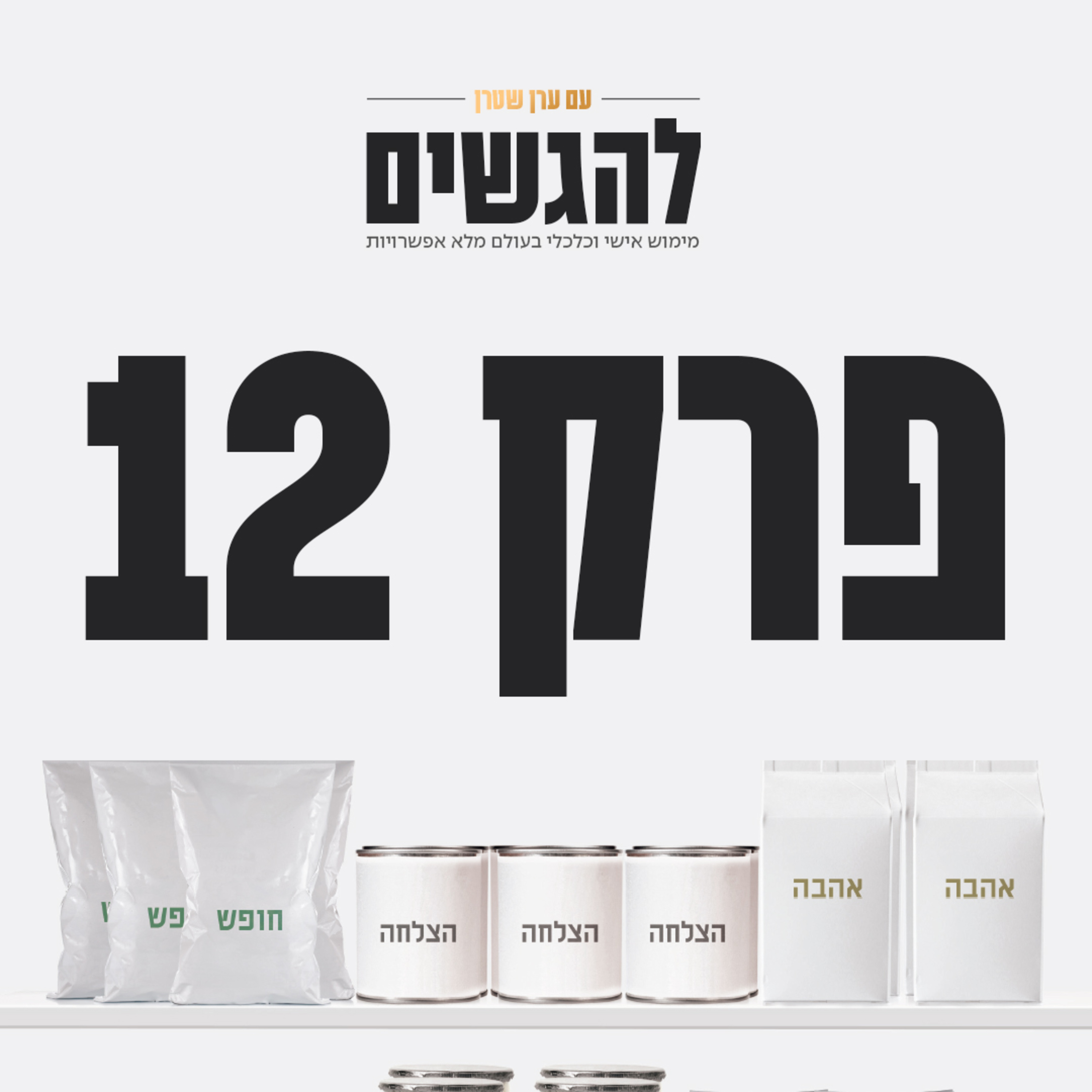 פרק 12 - כלים ליצירת הצלחה מתמשכת episode artwork