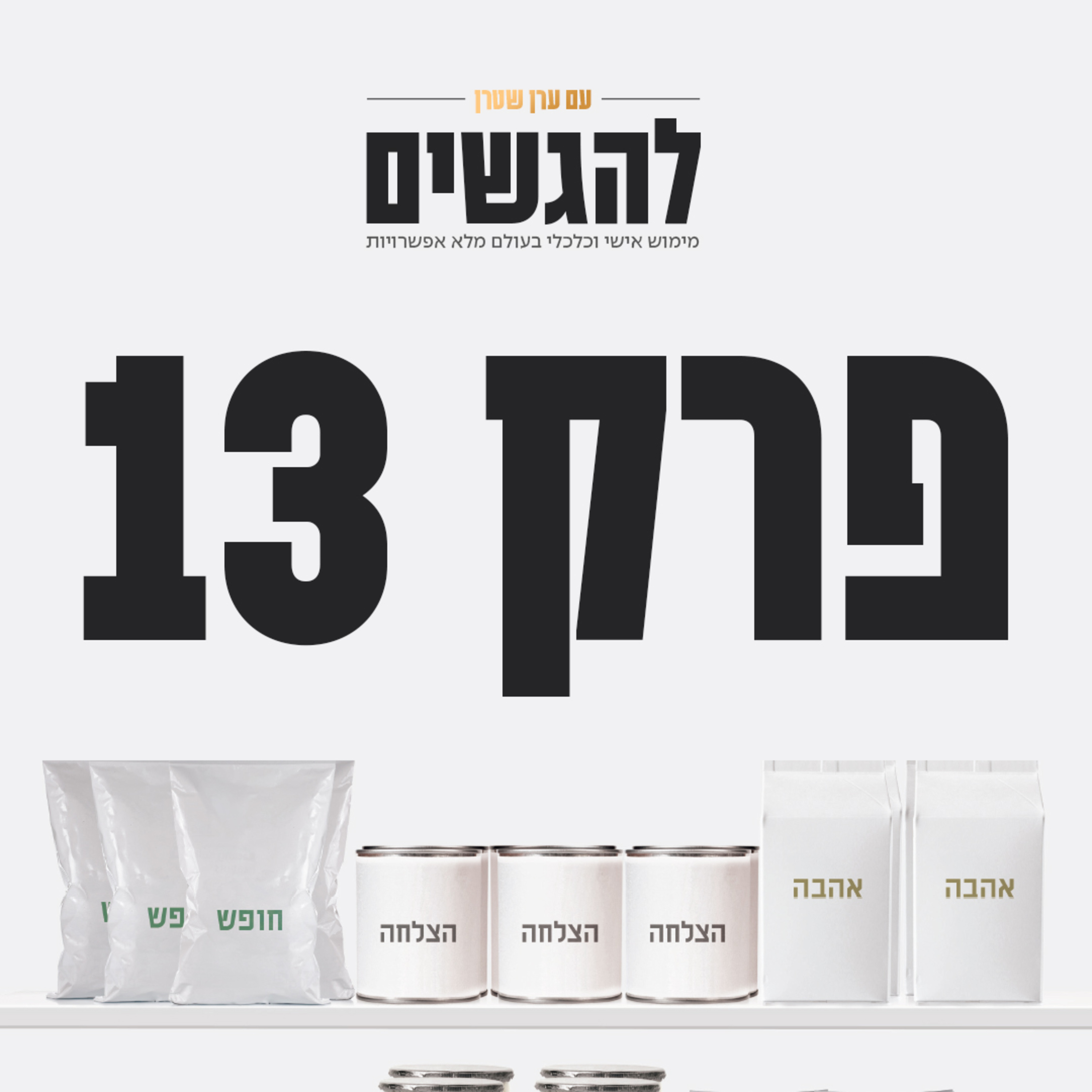 פרק 13 - משבר כהזדמנות episode artwork