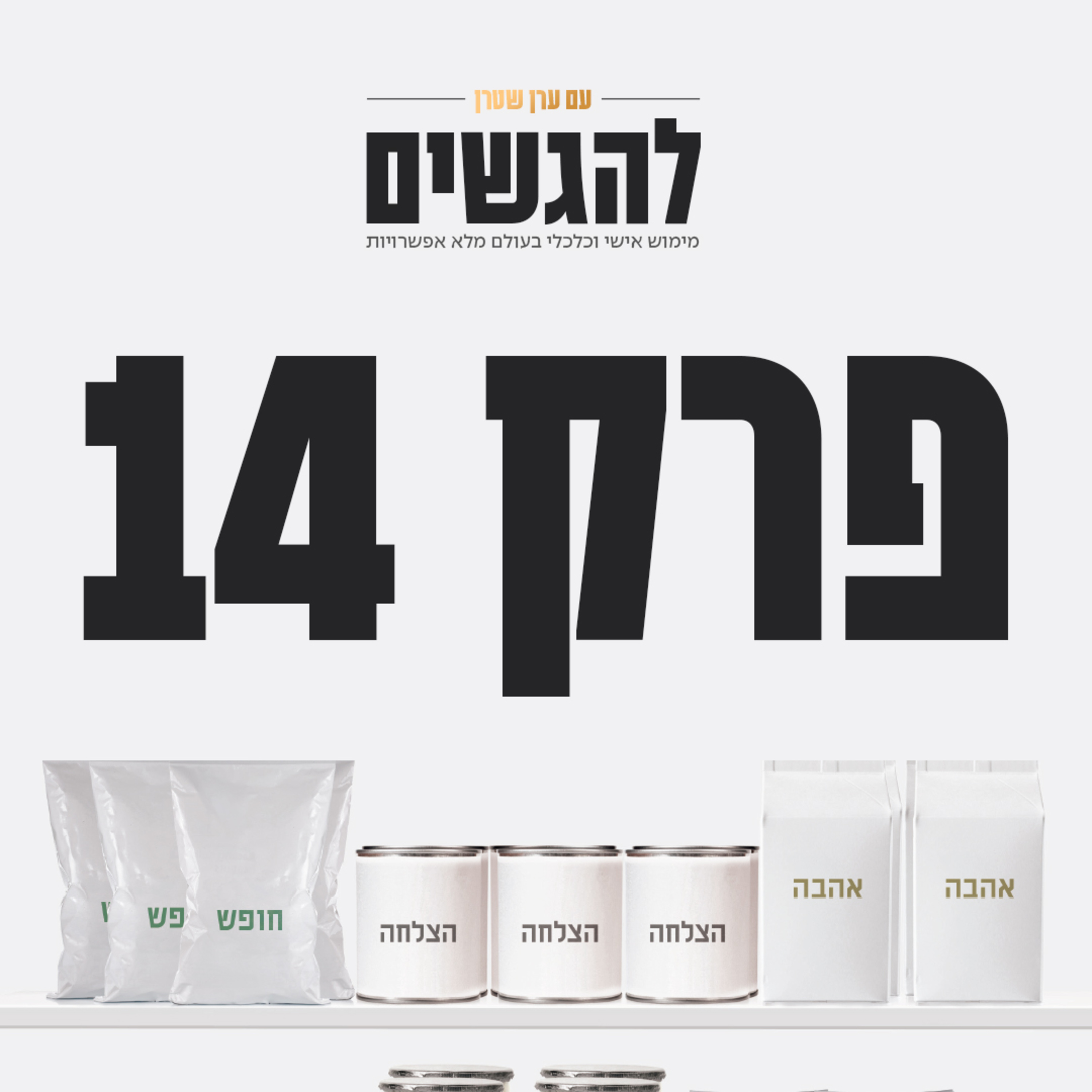 פרק 14 - ההגשמה האישית והכלכלית שלכם episode artwork