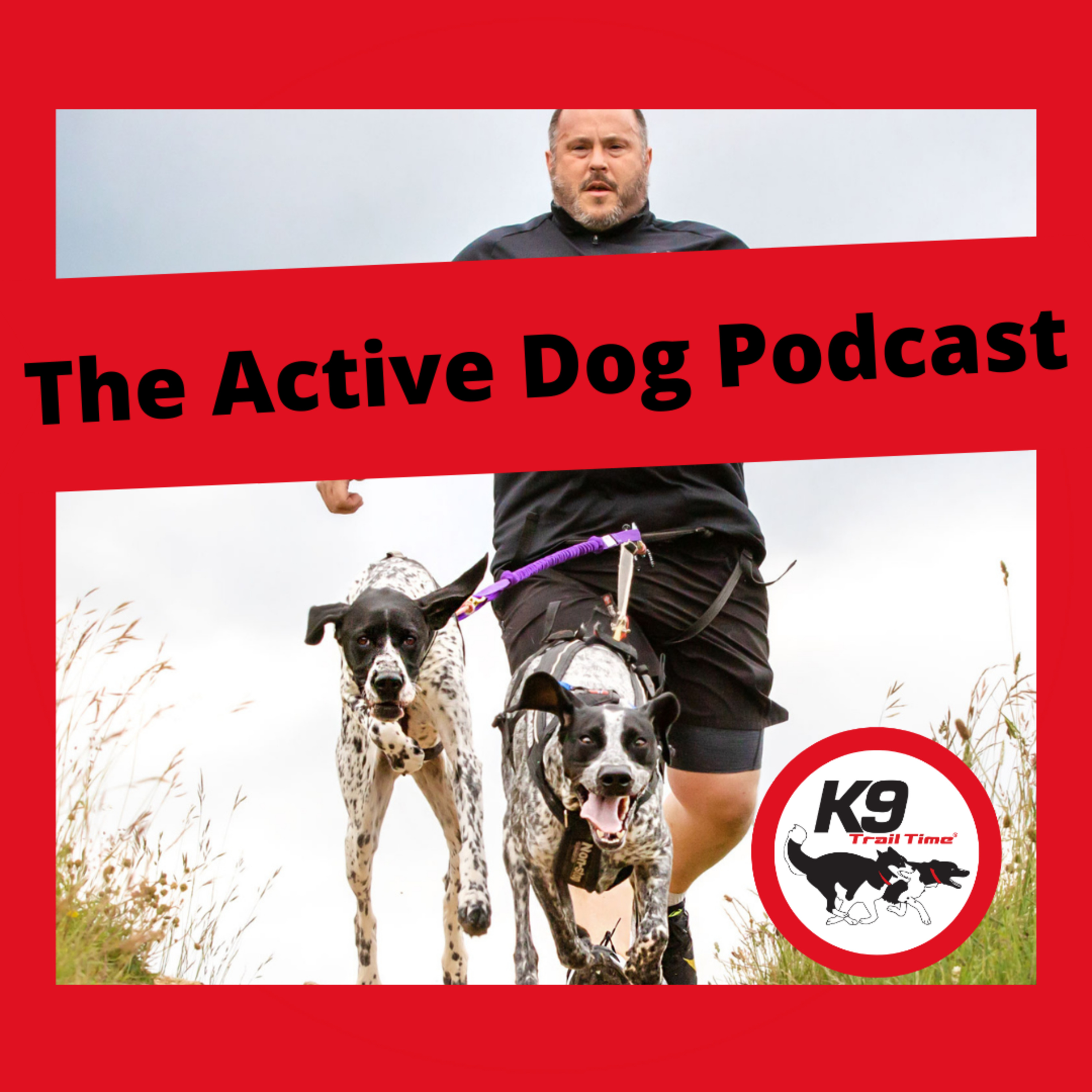 The Active Dog Podcast