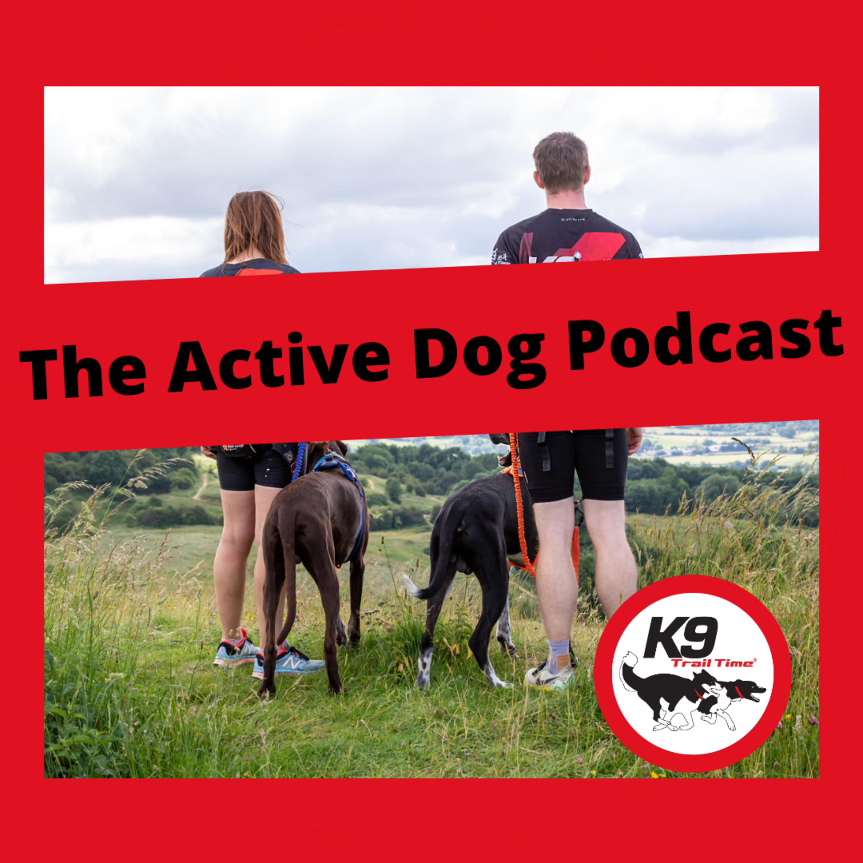 The Active Dog Podcast