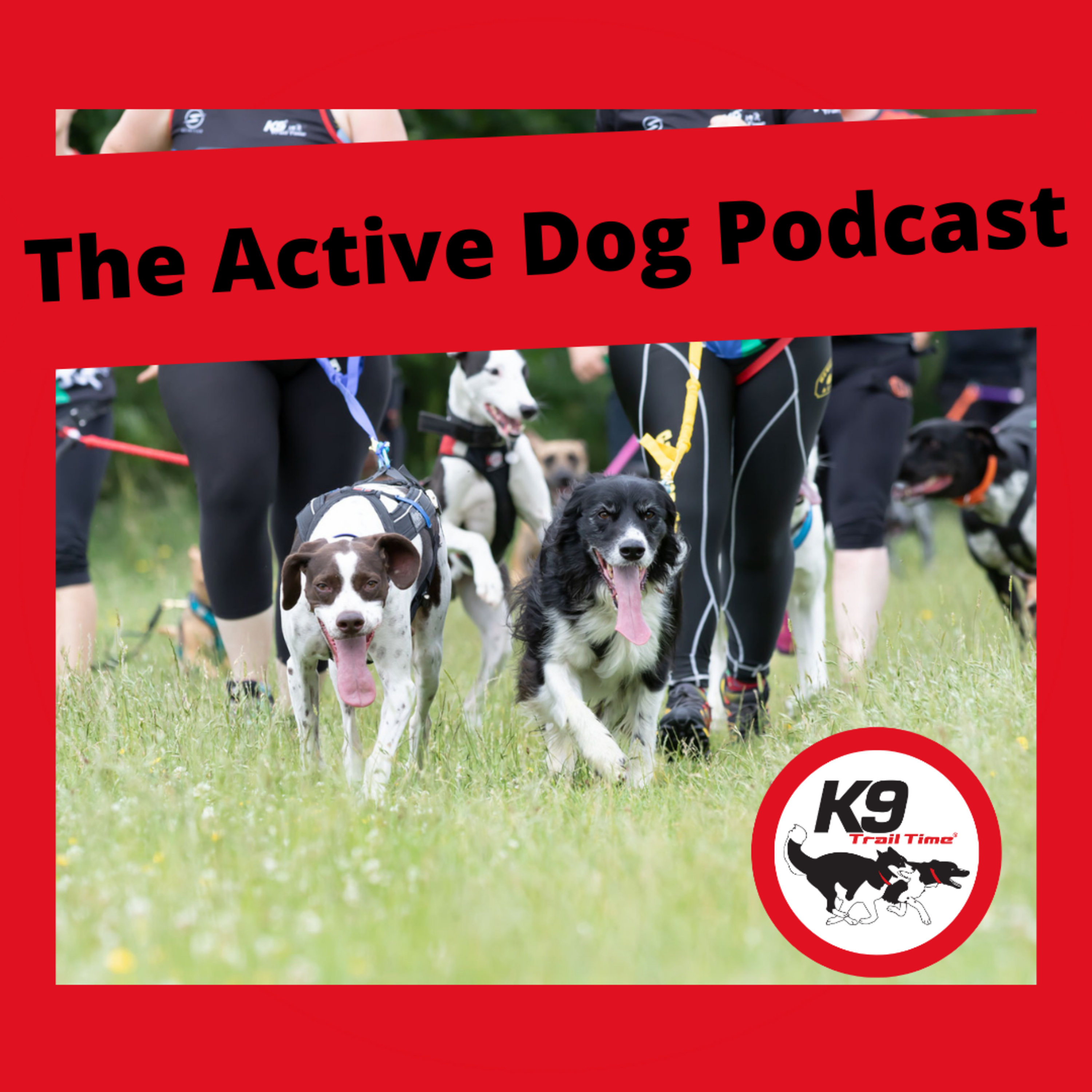 The Active Dog Podcast