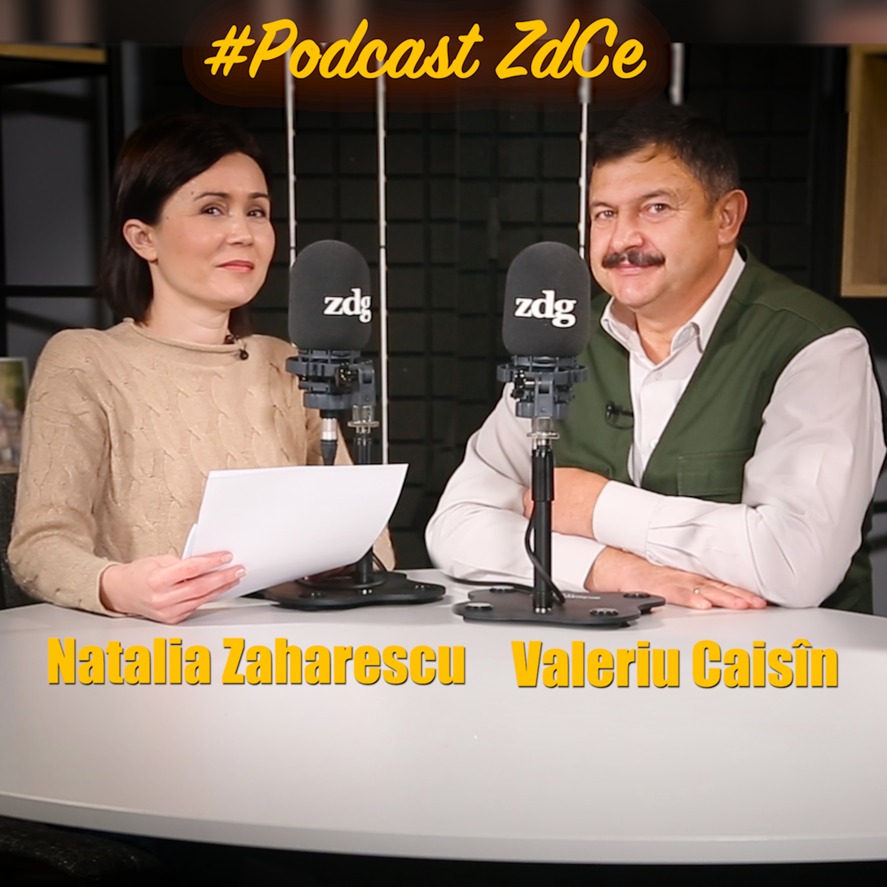 De ce nu ajung lemne și cum sunt împărțite cetățenilor? Discutăm cu directorul Moldsilva, Valeriu Caisîn | #PodcastZdCe episode artwork