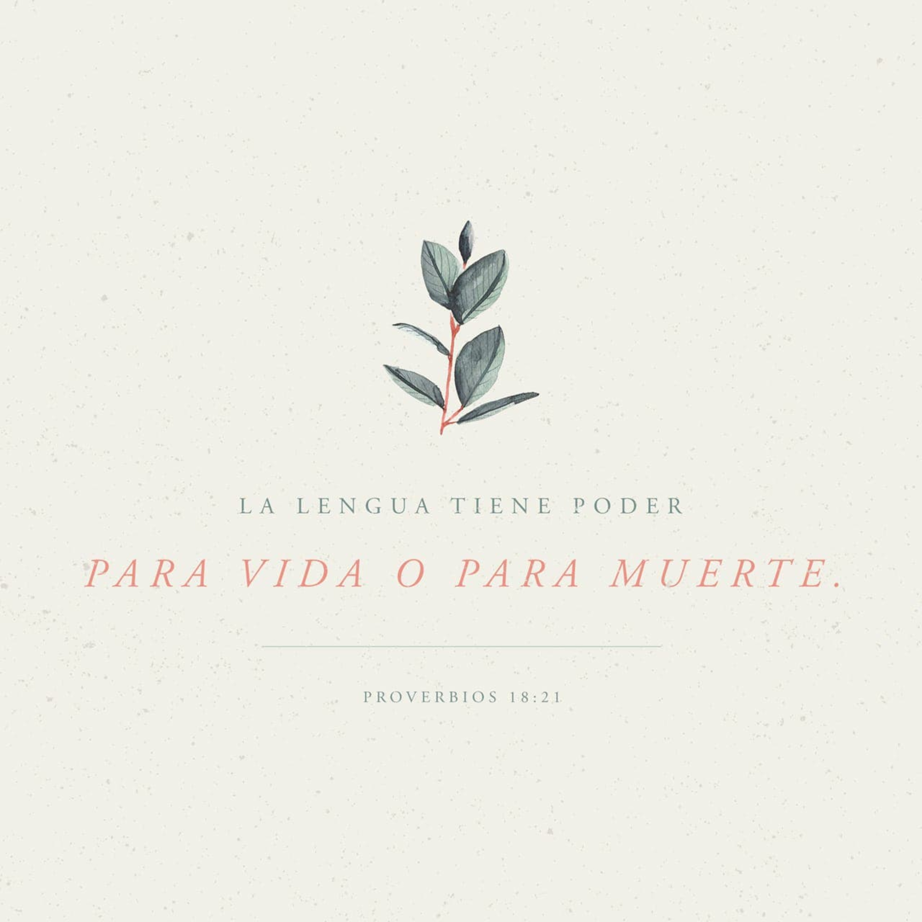 Iglesia Cristiana Libertad