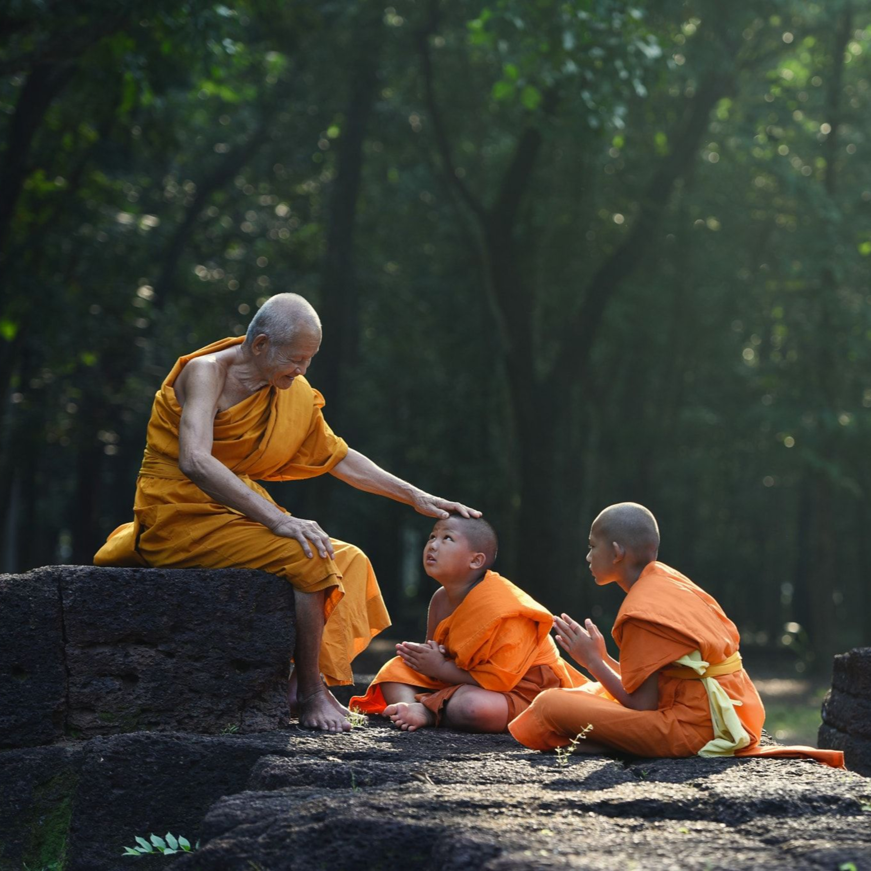 Spiritual Reality Plainly Seen