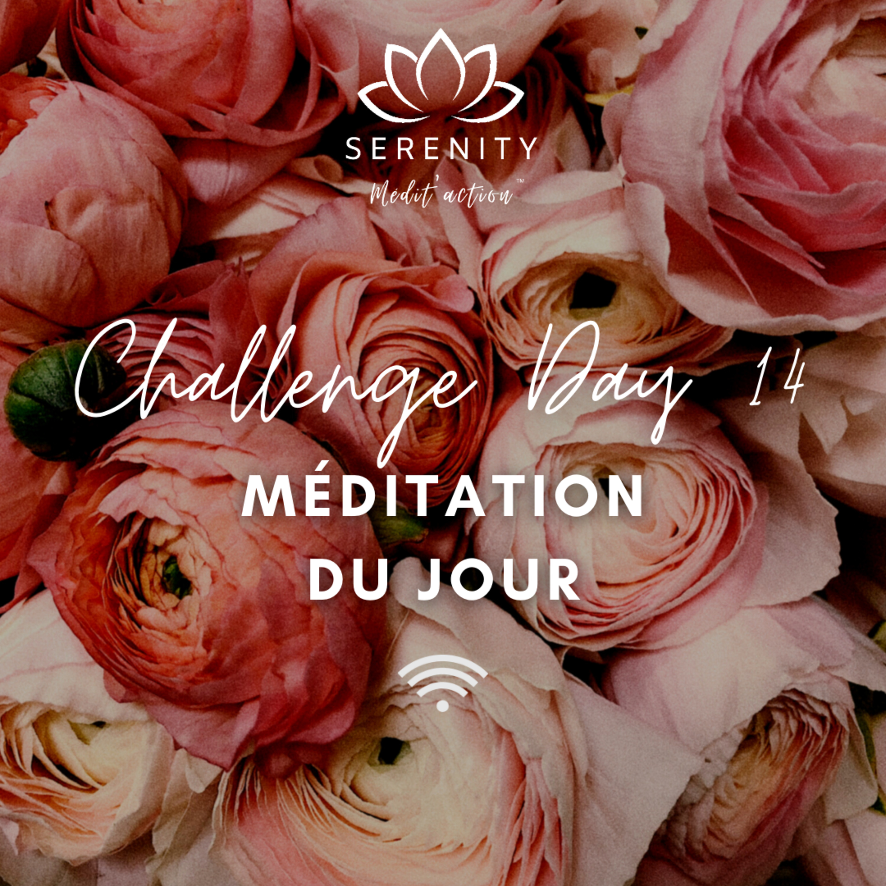 🙏 DAY 14 - Méditation Aham Prema "Je suis Amour" - CHALLENGE DE MEDITATION episode artwork