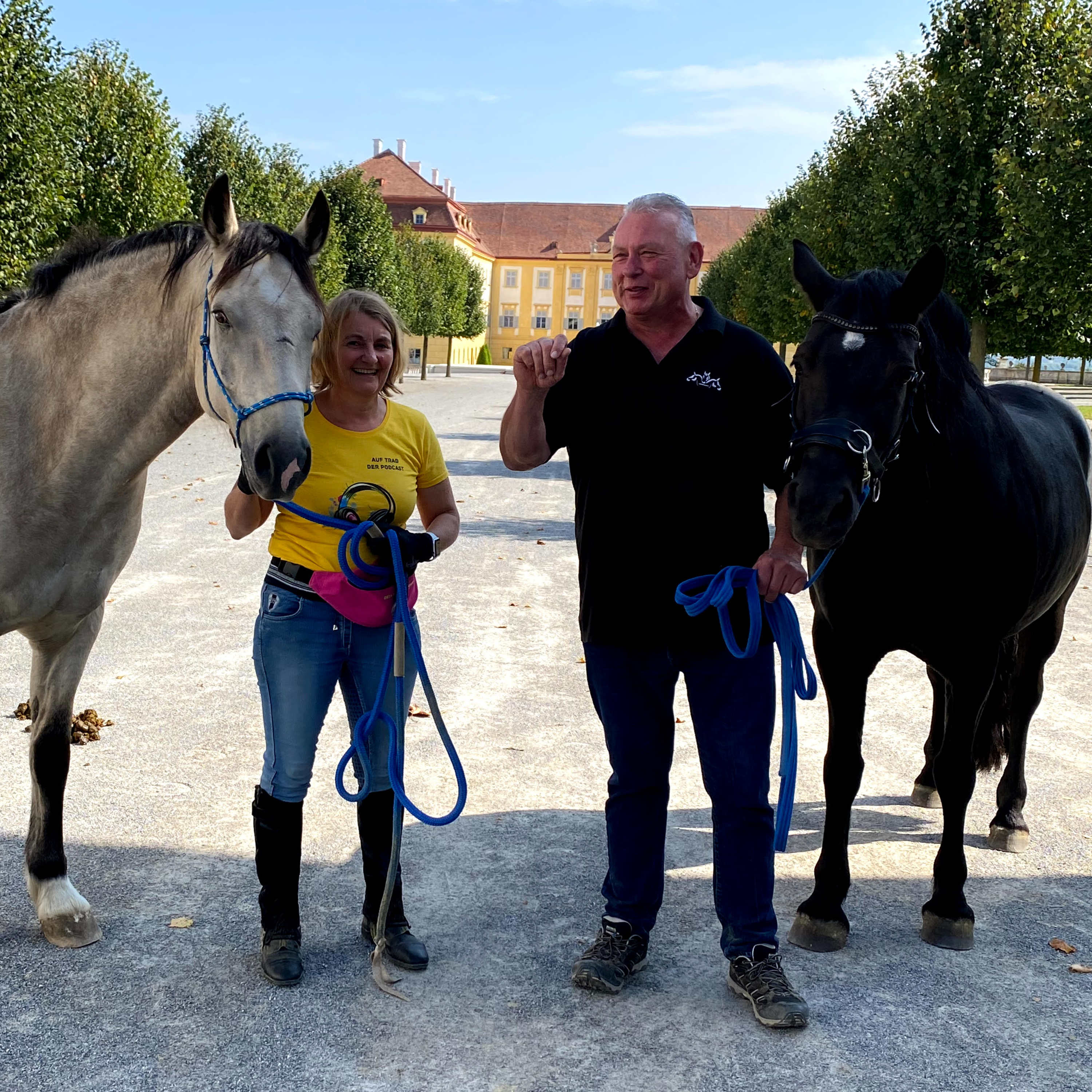 Wie brutal ist der Reitsport? episode artwork