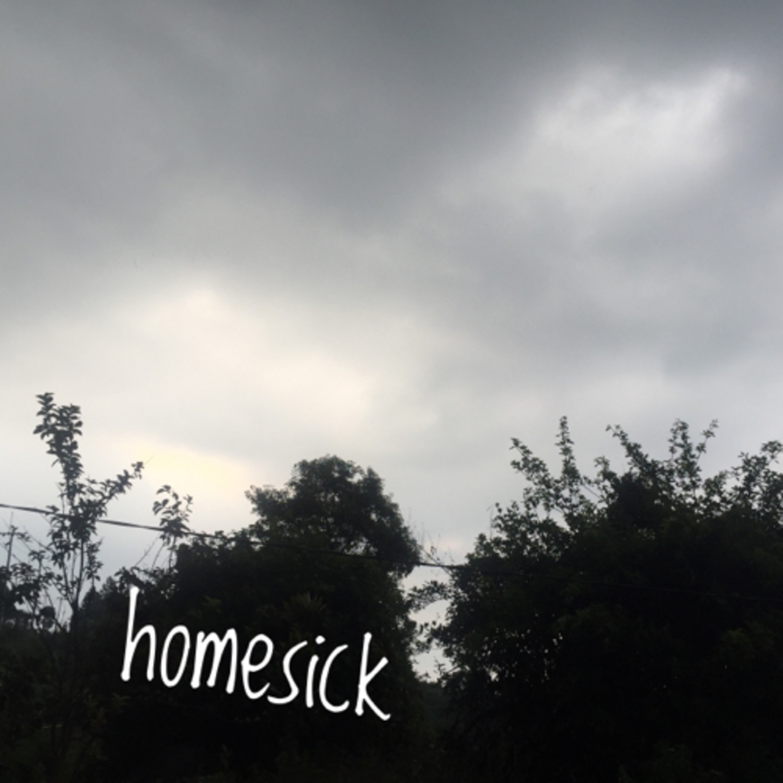 ngebahas hidup