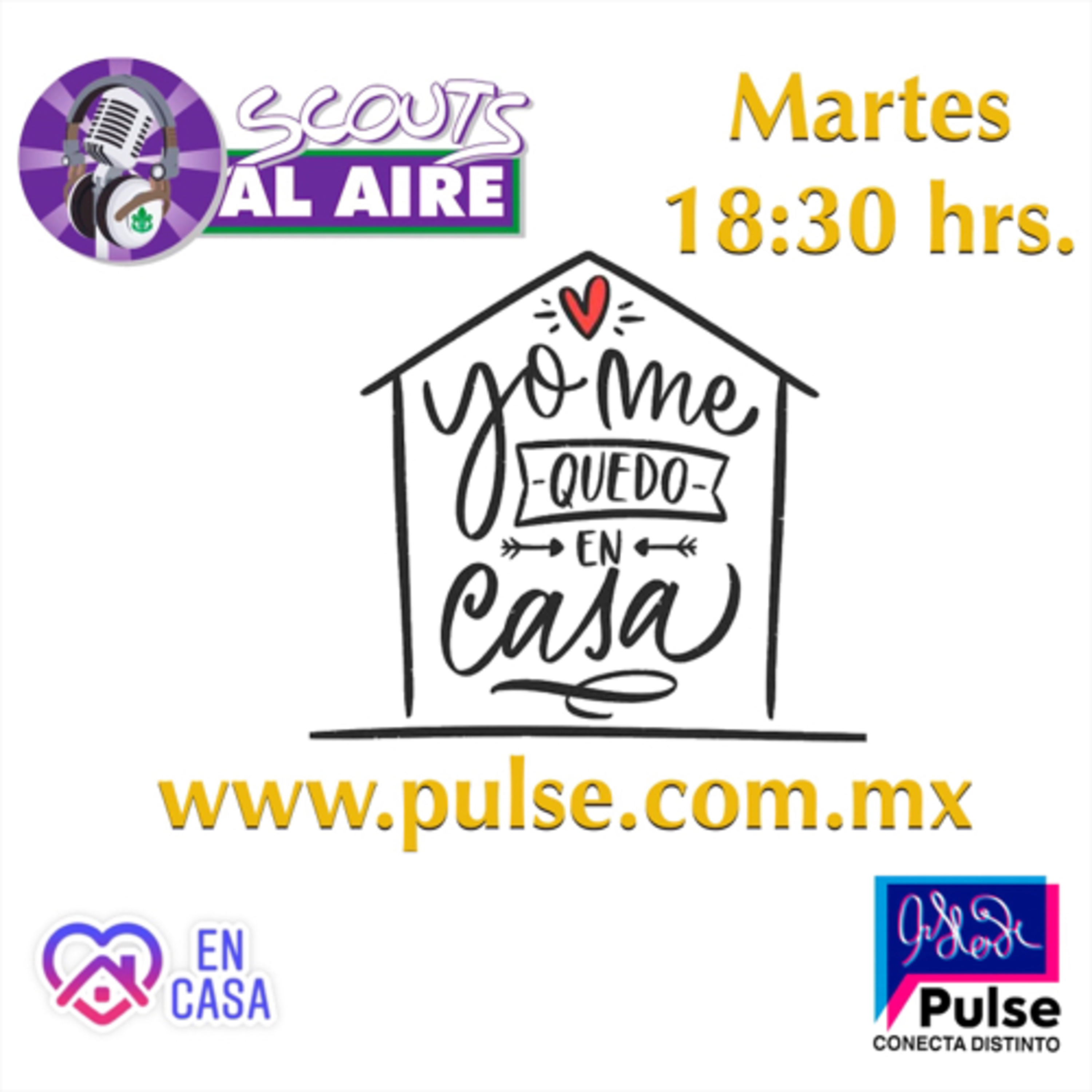 PULSE NETWORK MEDIA