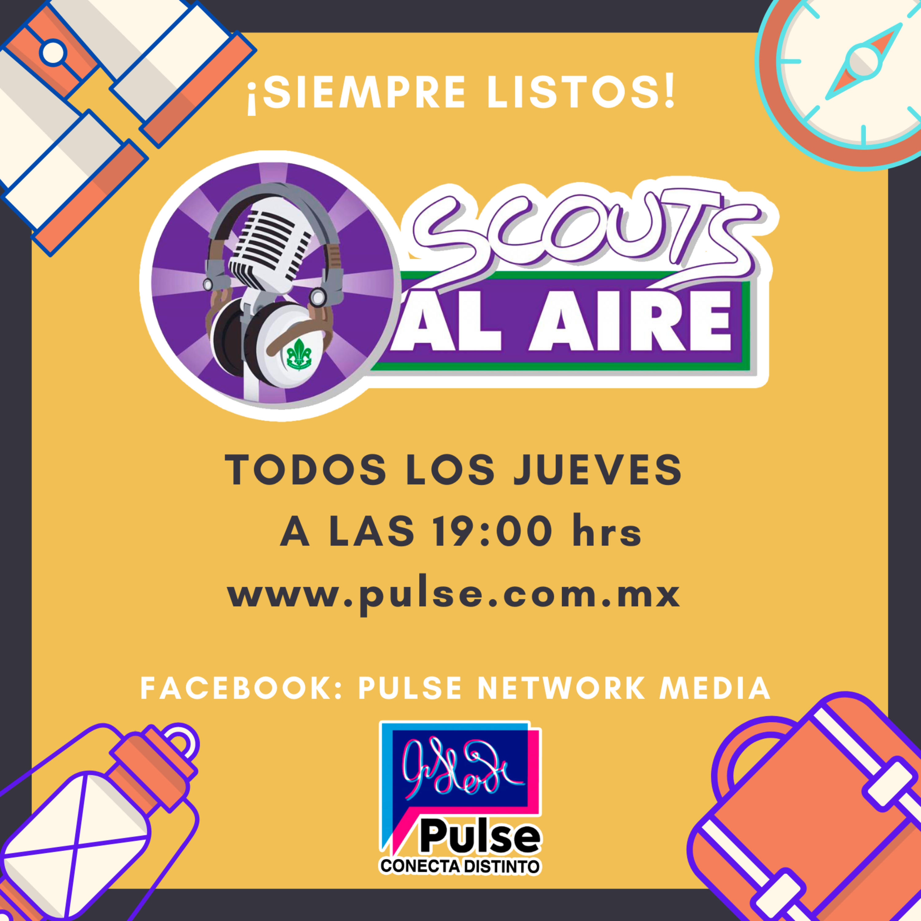 PULSE NETWORK MEDIA
