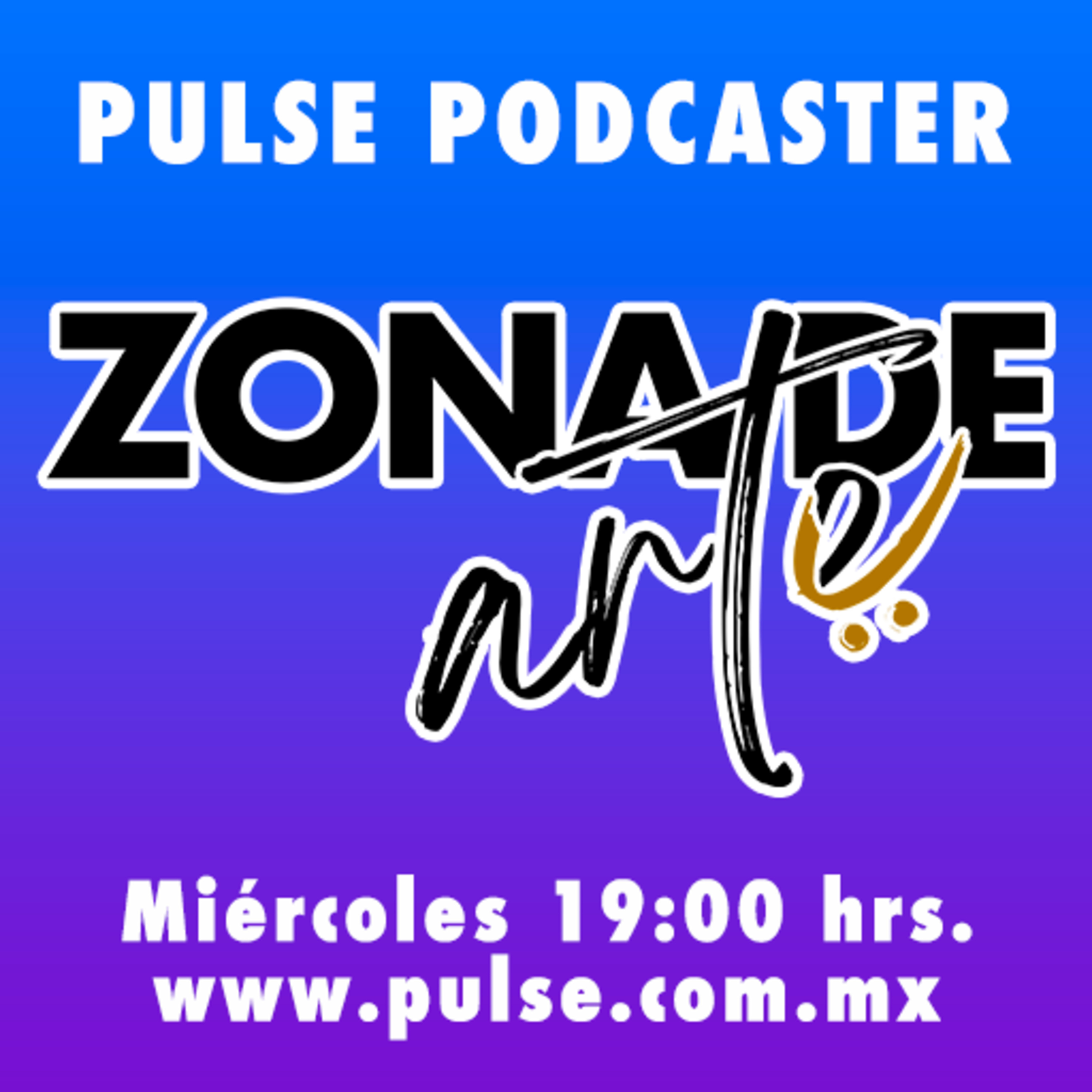 PULSE NETWORK MEDIA