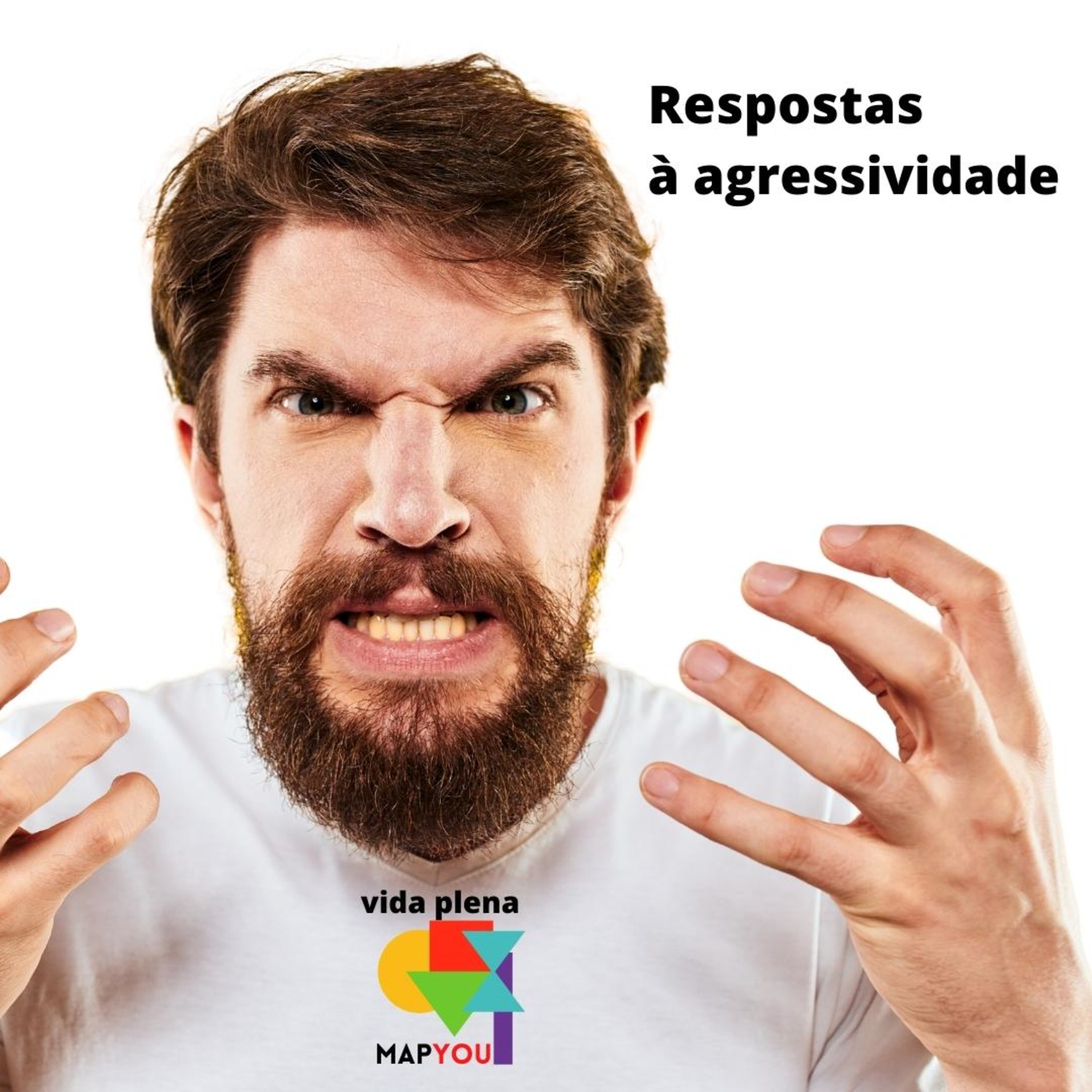 Vida Plena Map You