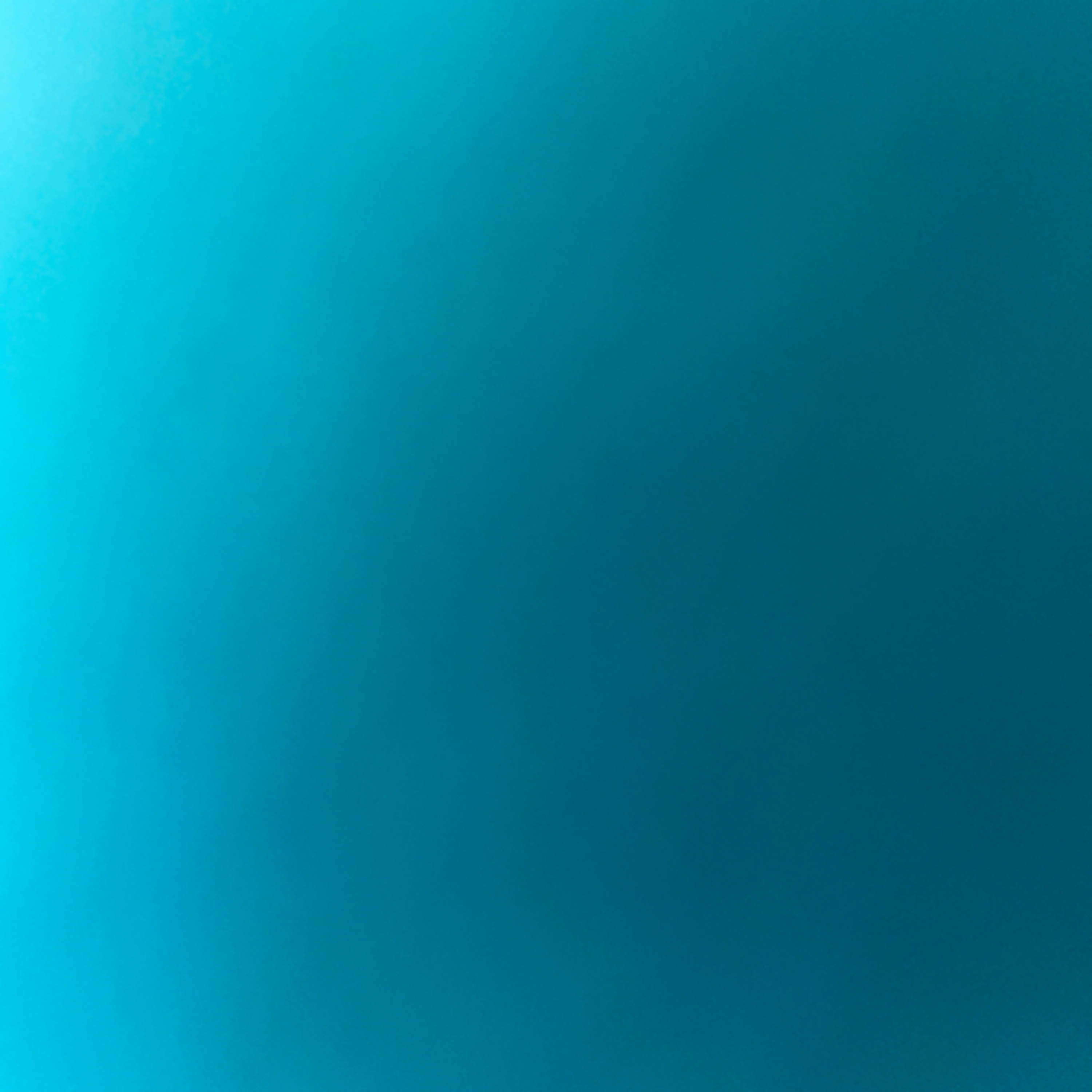 Veterinary Science Clinicals