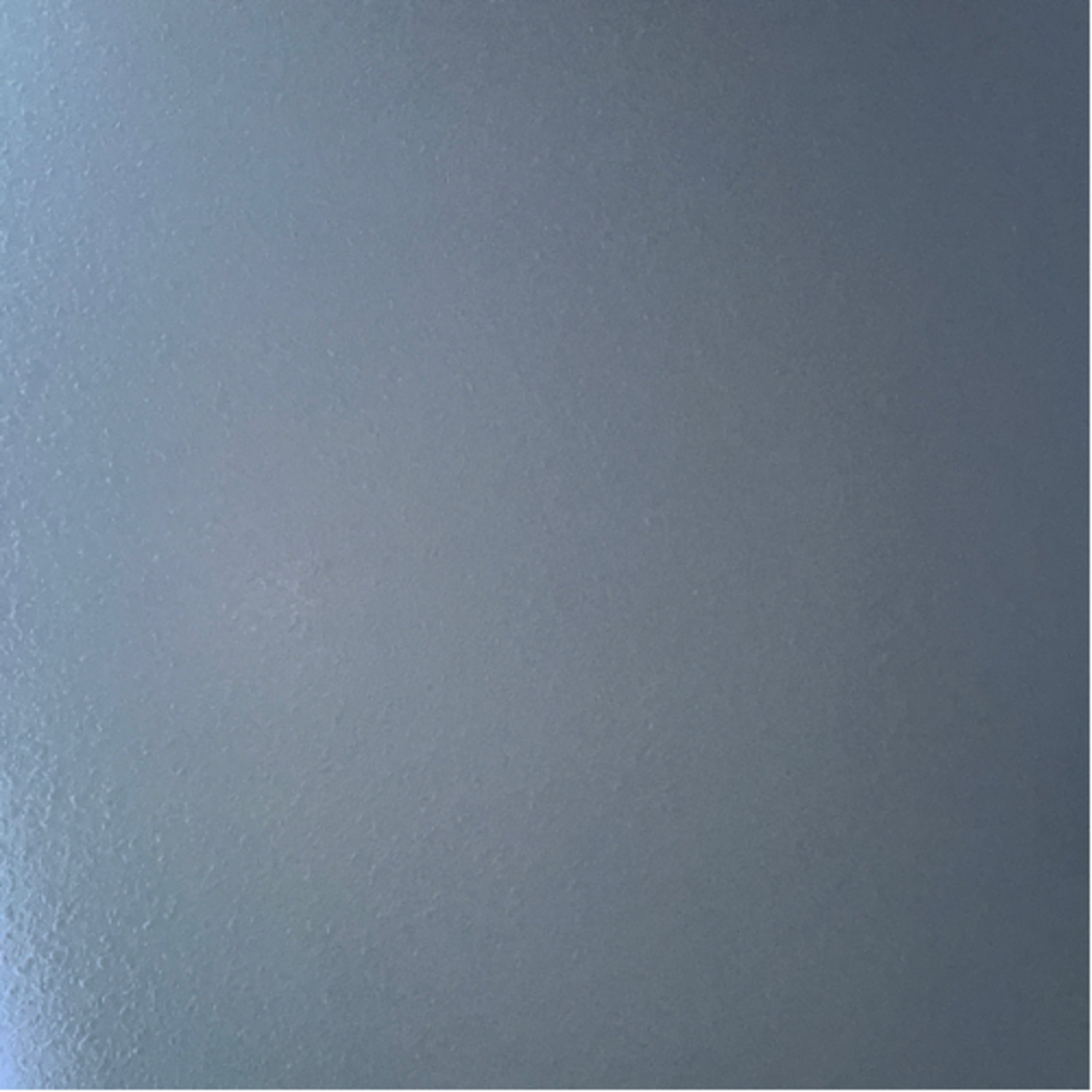 Veterinary Science Clinicals