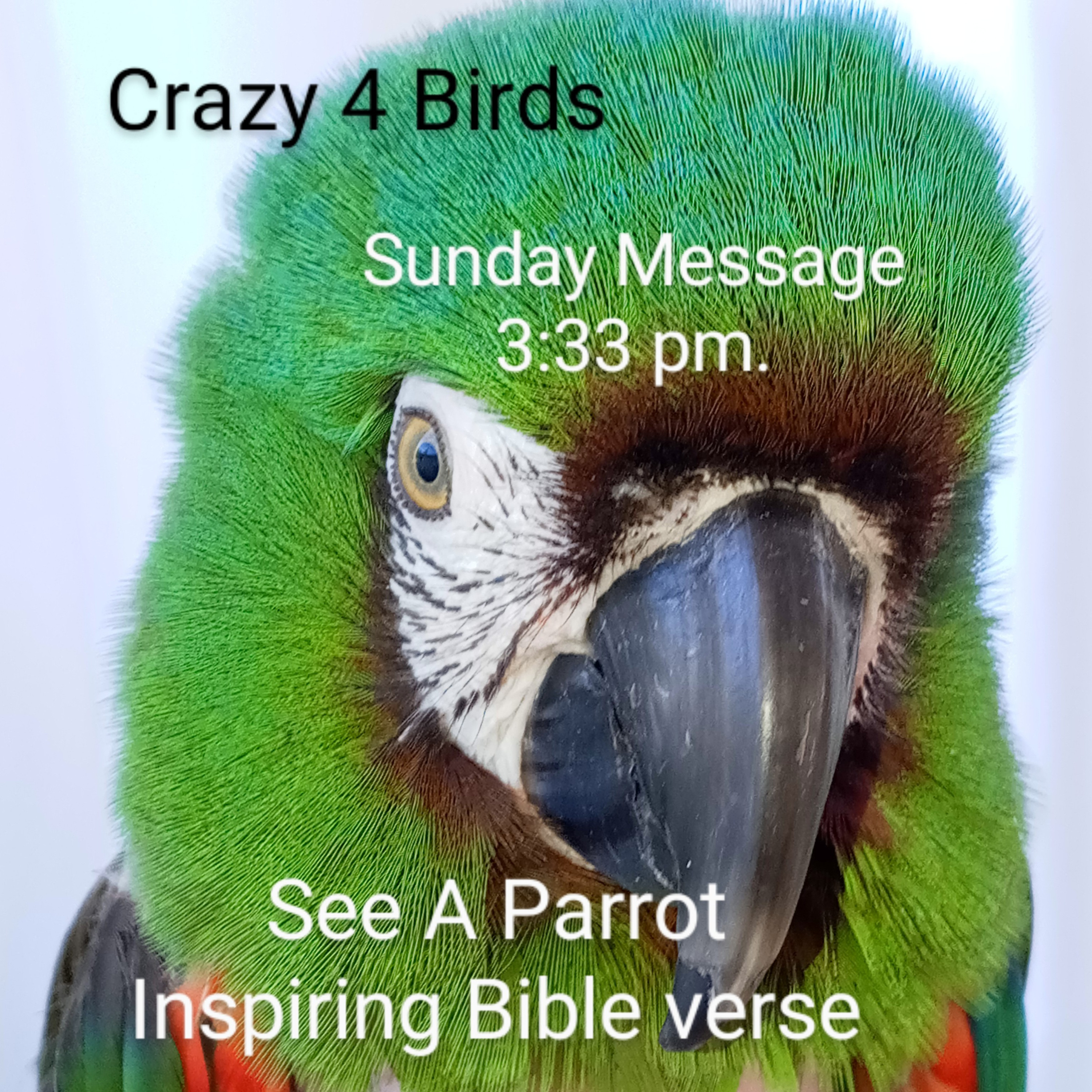 Sunday Message 2022 episode artwork