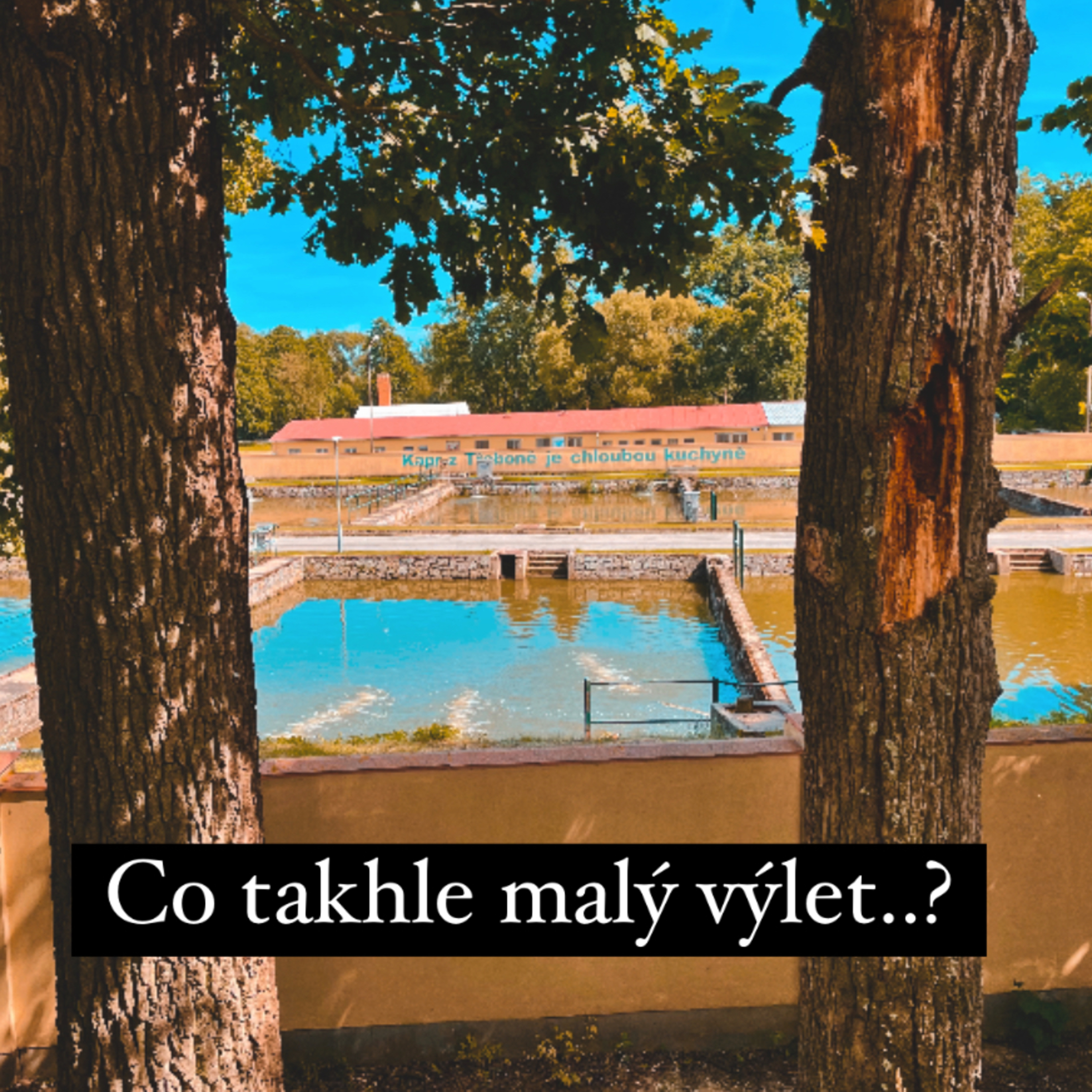 Co takhle malý výlet