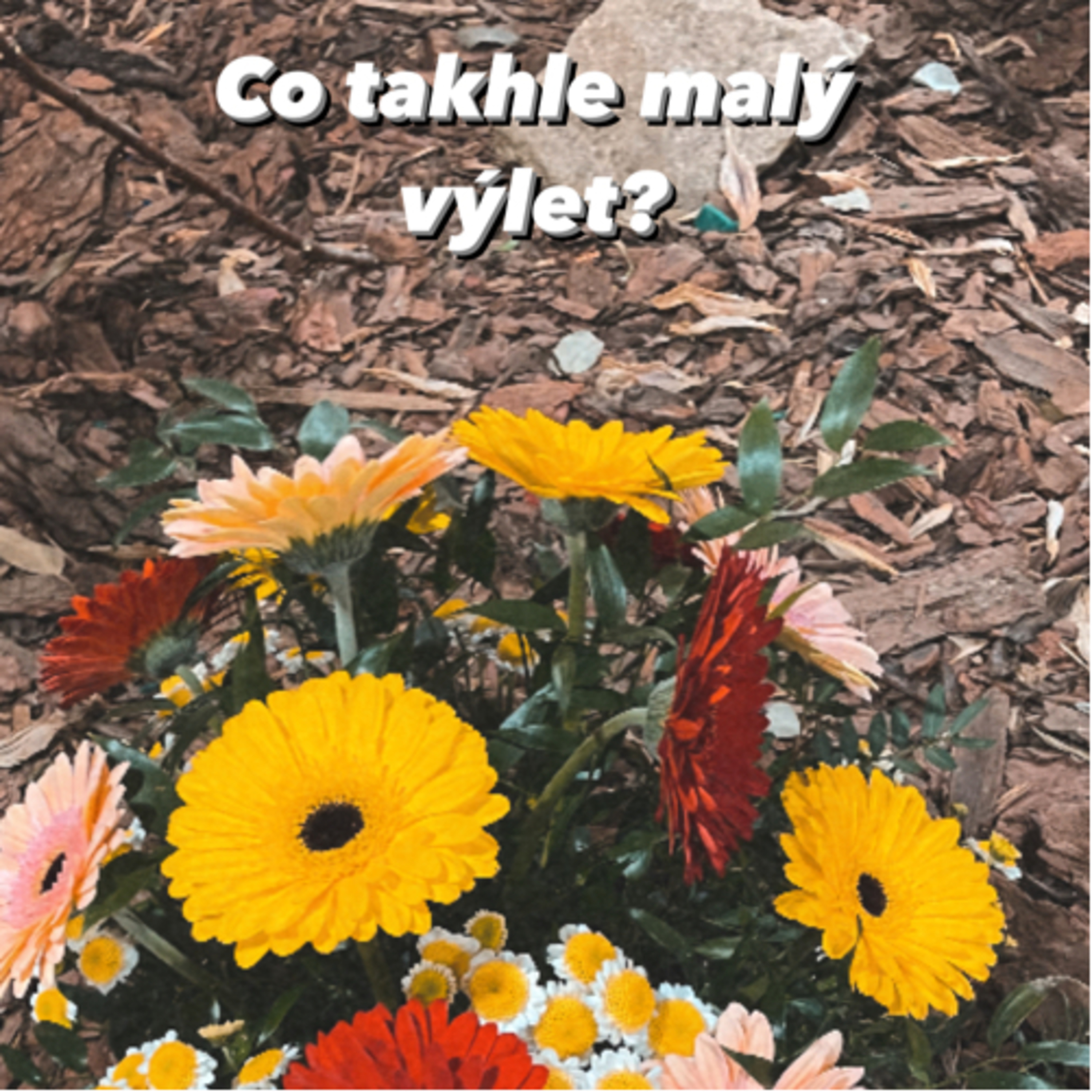 Co takhle malý výlet