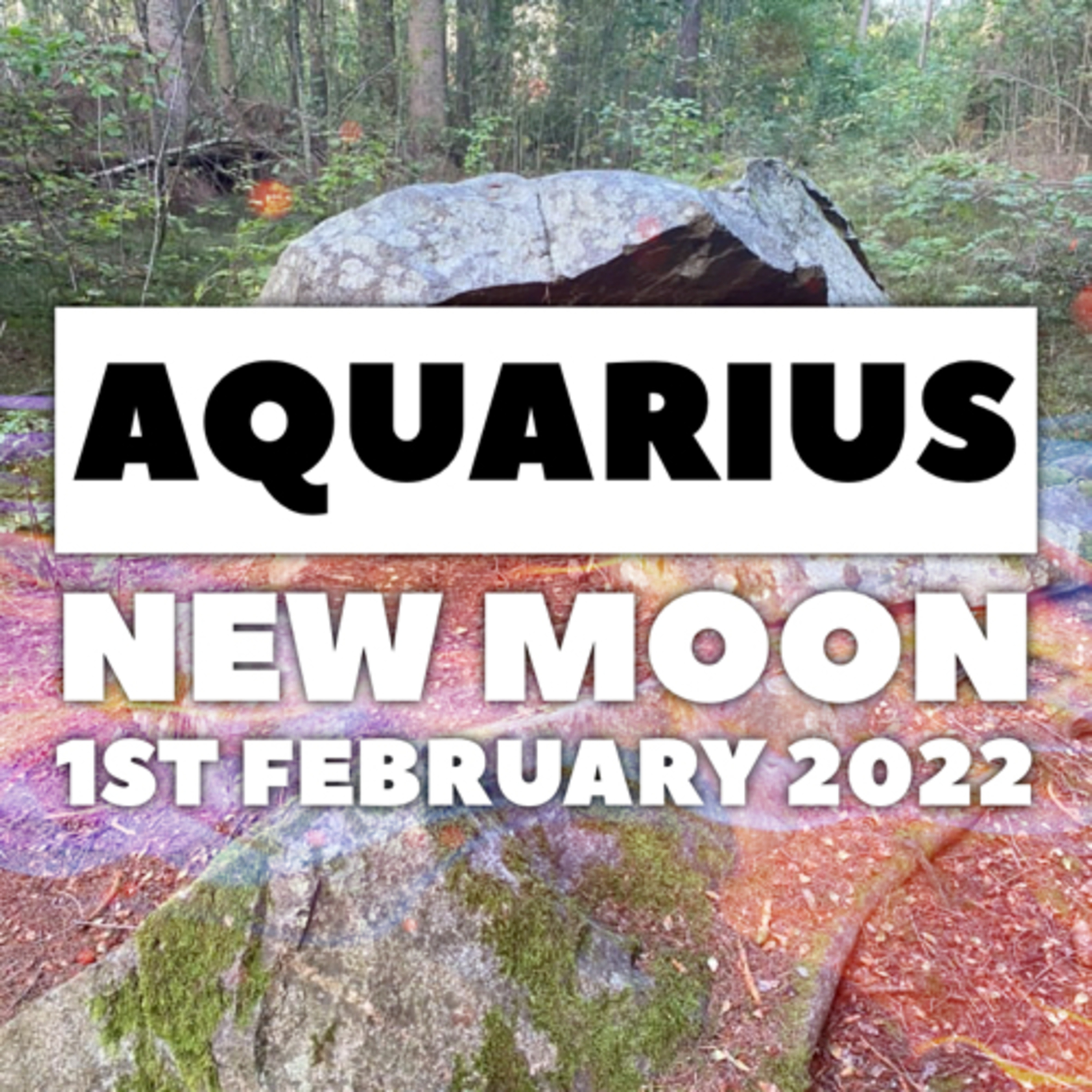 New Moon in Aquarius 31st of January - 1st of February 2022 episode artwork