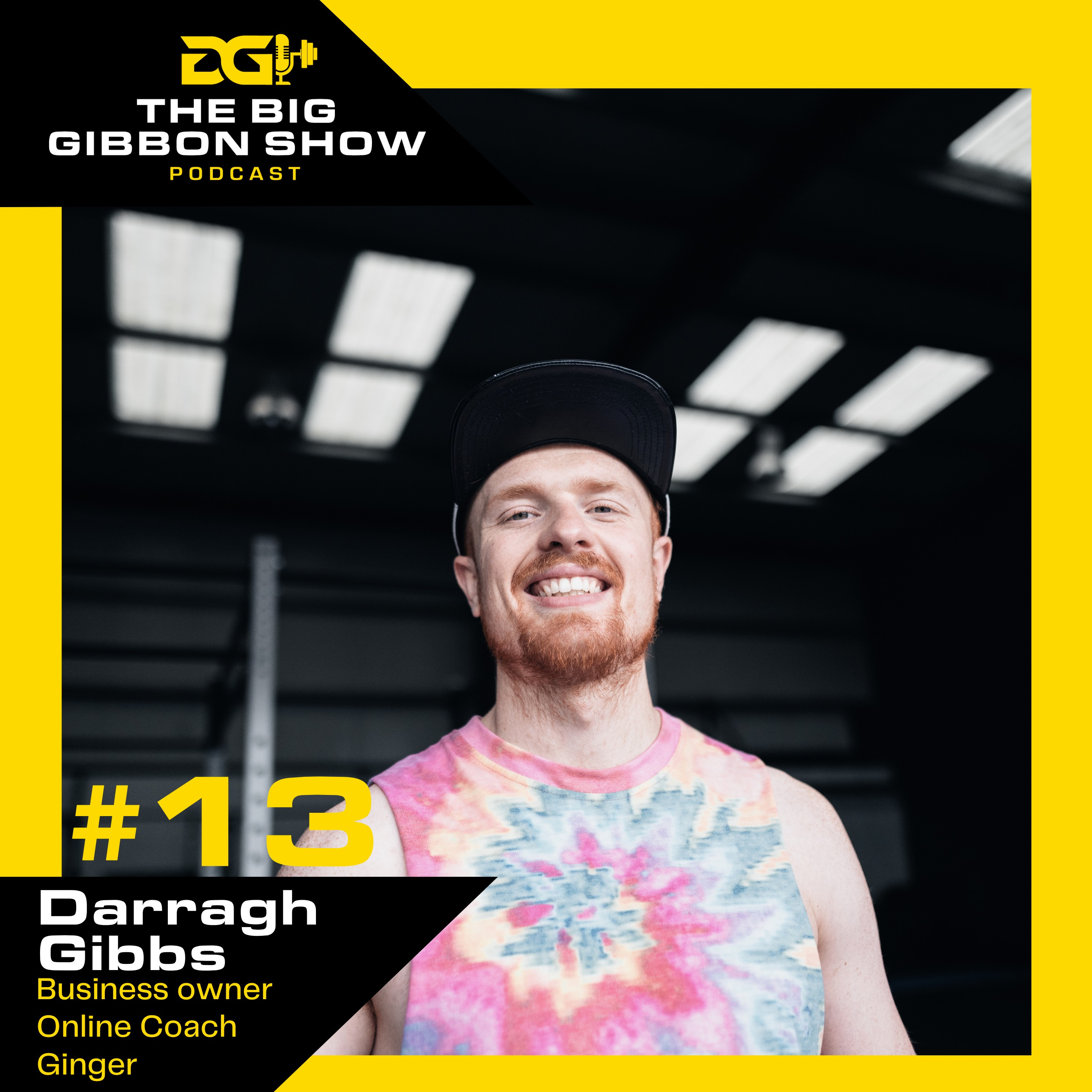 The Big Gibbon Show