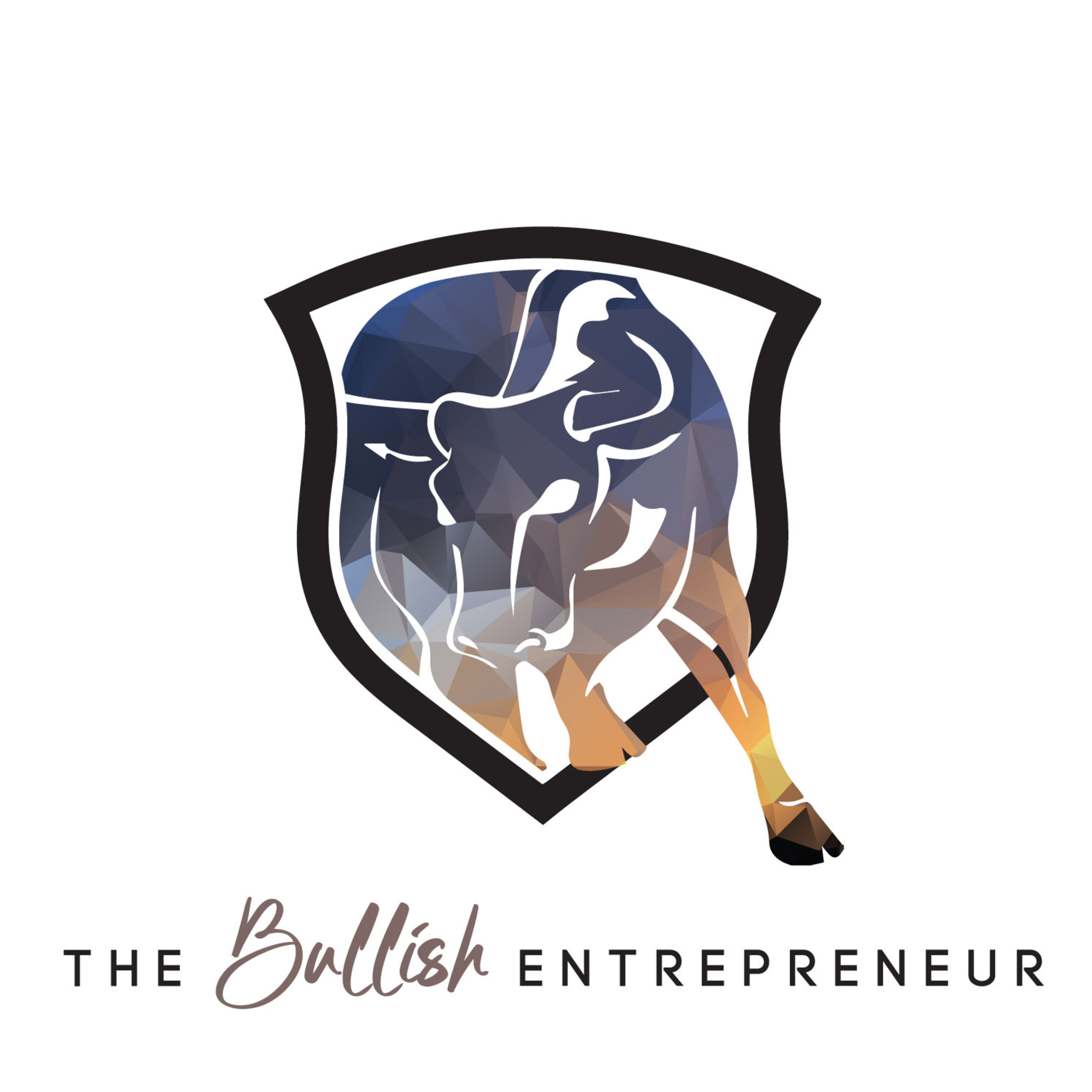 The Bullish Entrepreneur Podcast Ep.1 "Intro to the Idea of Digital Convenience"
