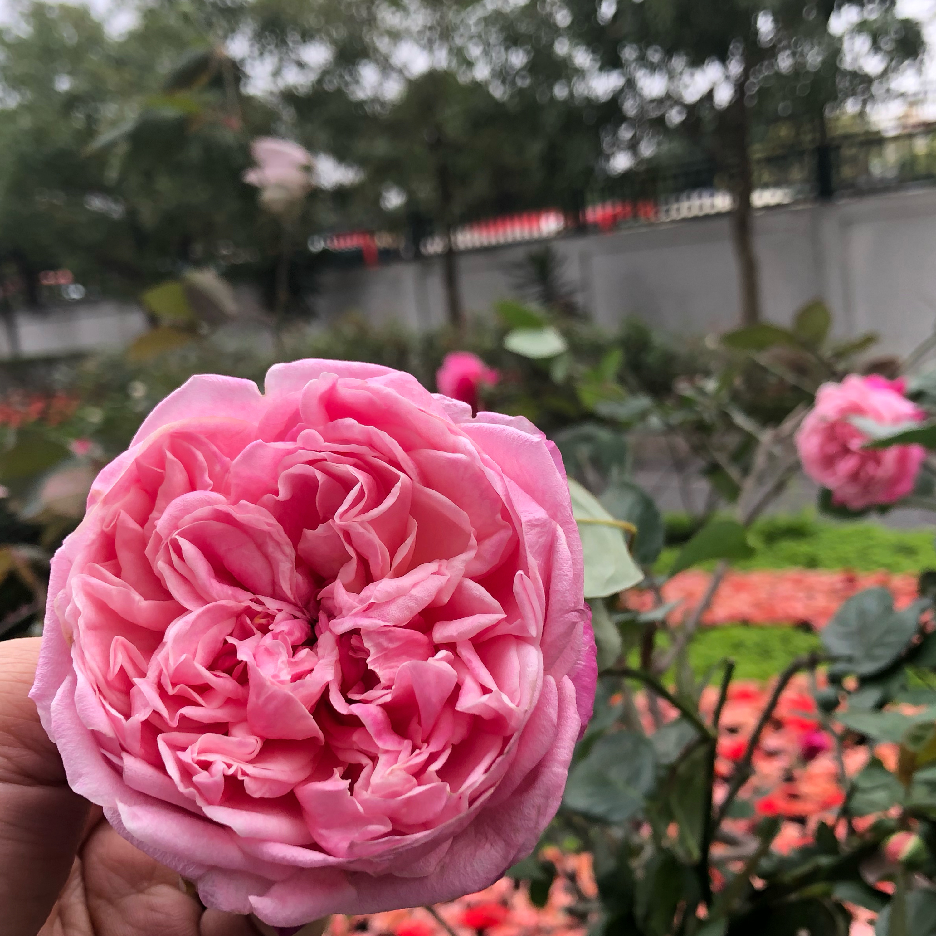 An Nhiên đọc truyện