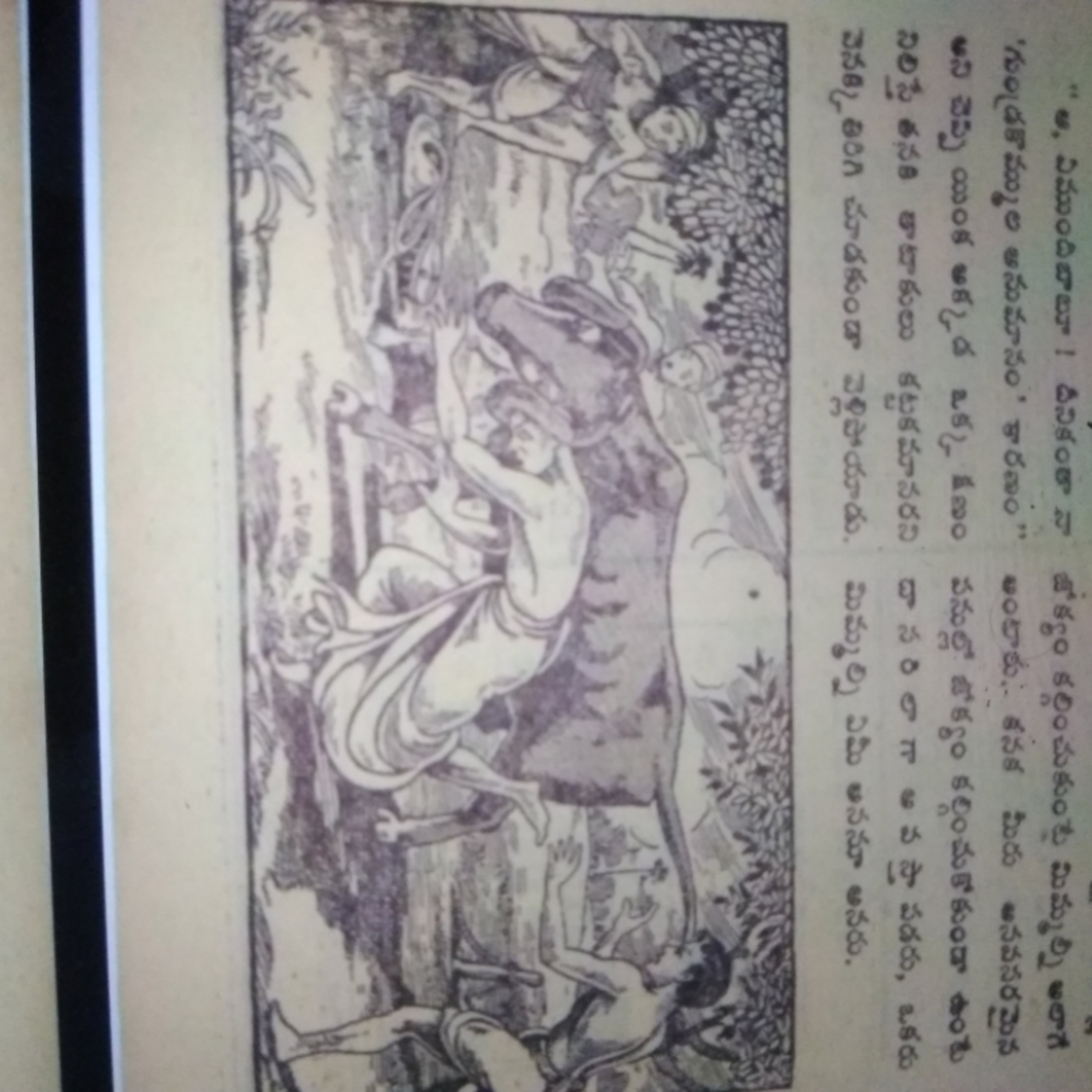 గుండ్రకొమ్ముల అనుమానం