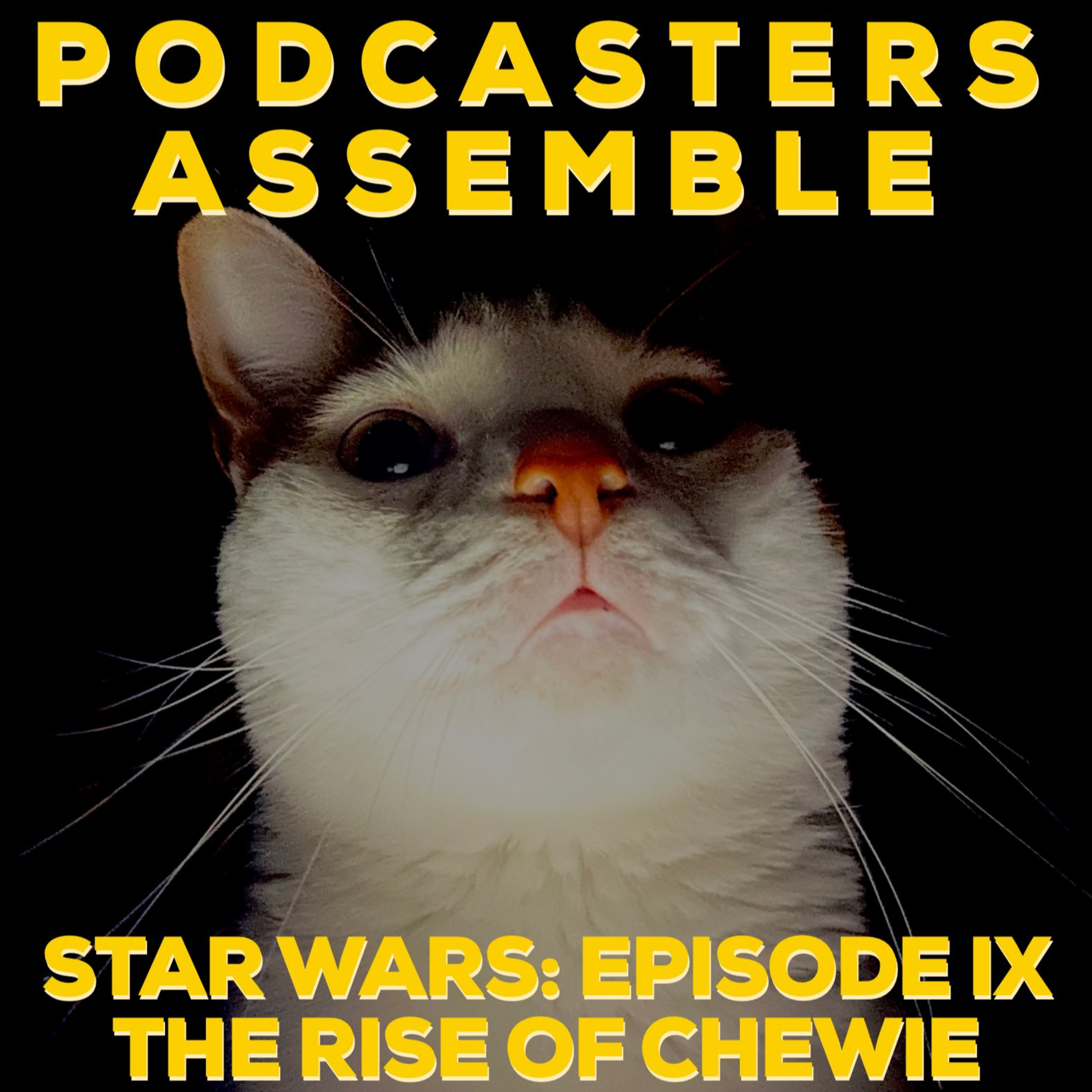 Podcasters Assemble! (A Movie Podcast)