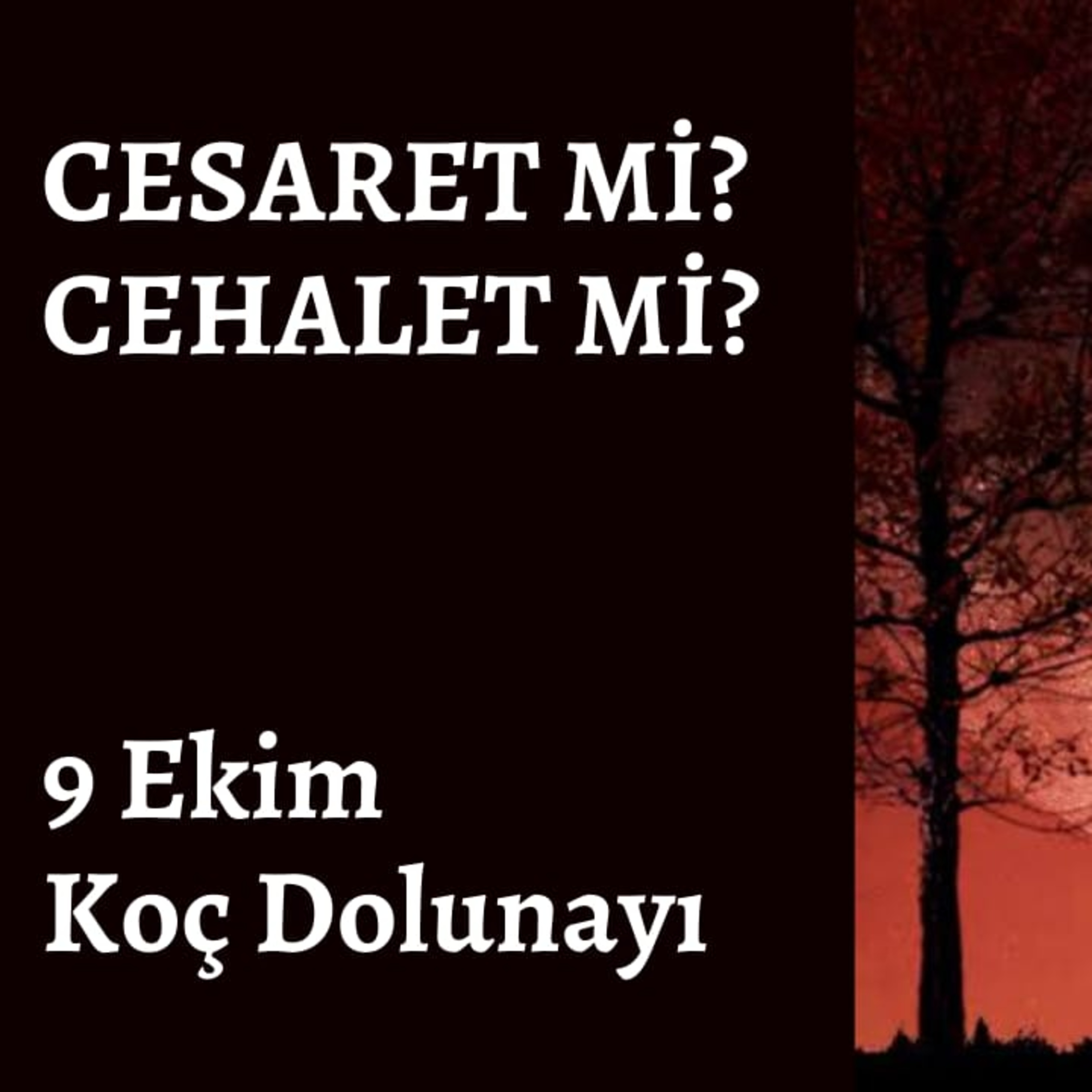 Bölüm 28: Koç Dolunayı episode artwork