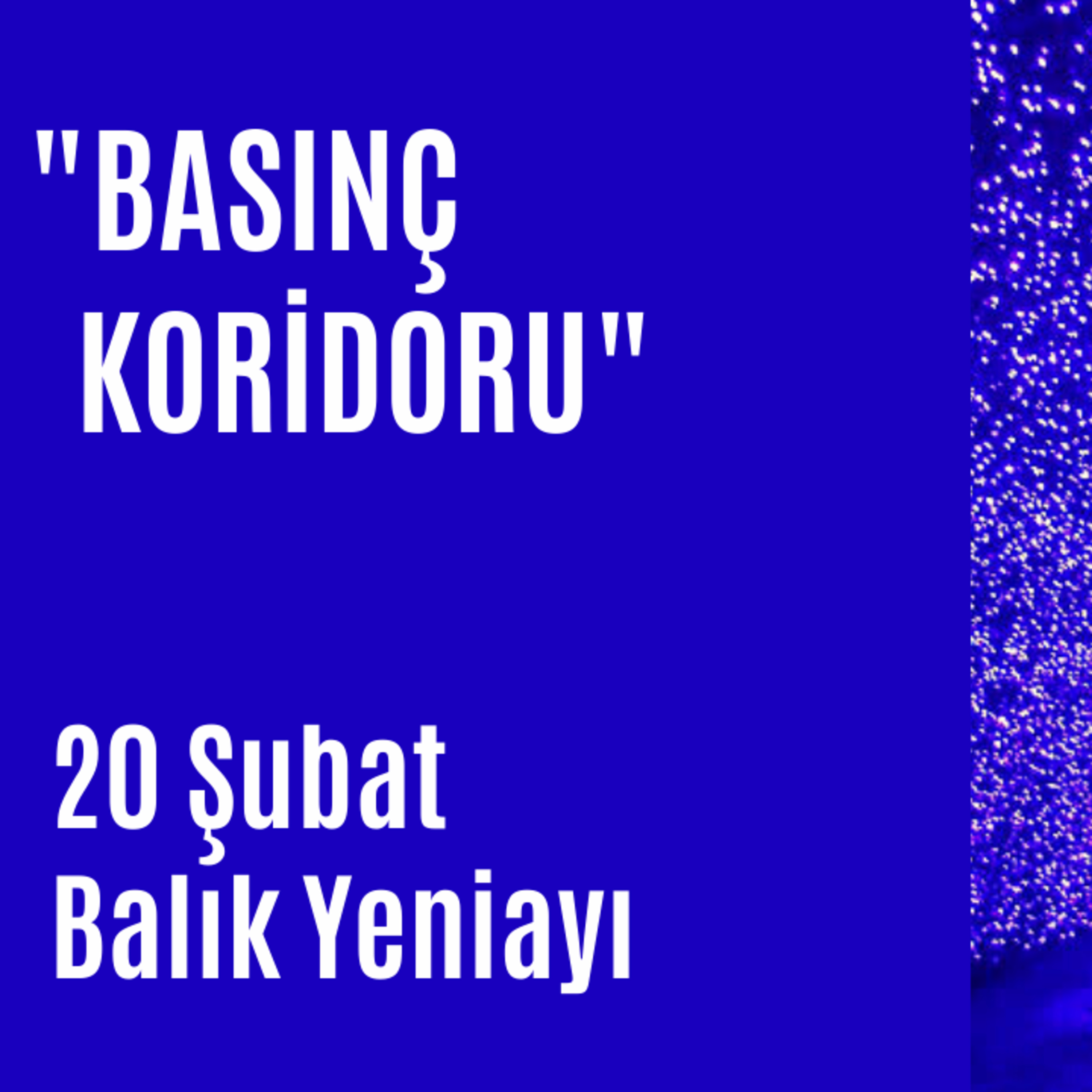 Bölüm 38: 20 Şubat Balık Yeniayı episode artwork
