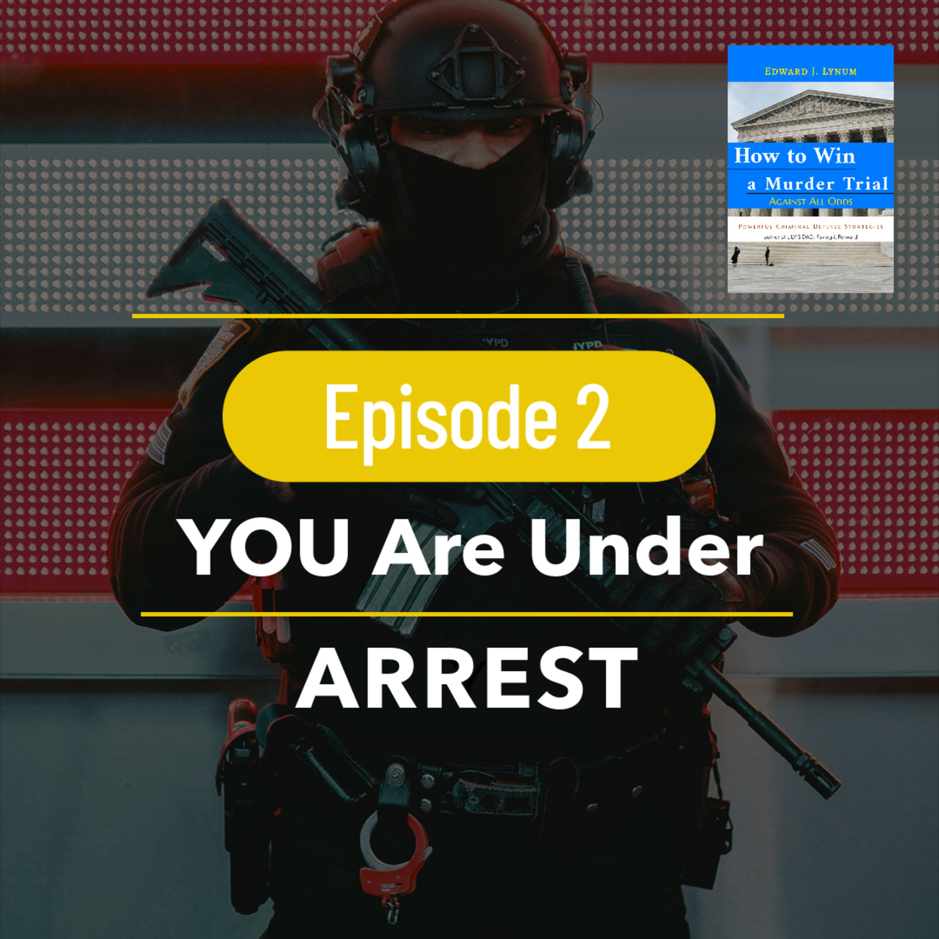 You're Under Arrest episode artwork