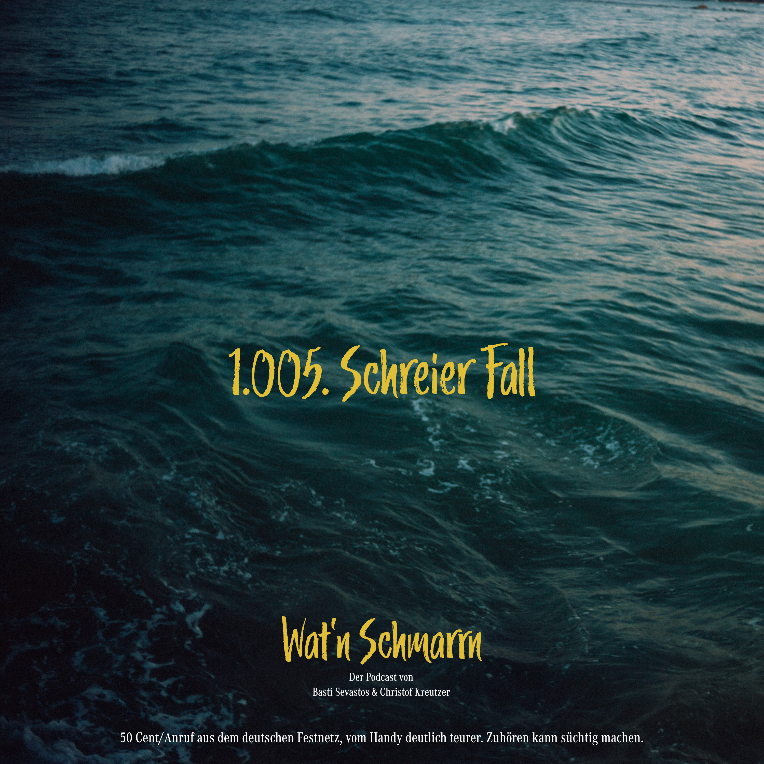 1.005. Schreier Fall