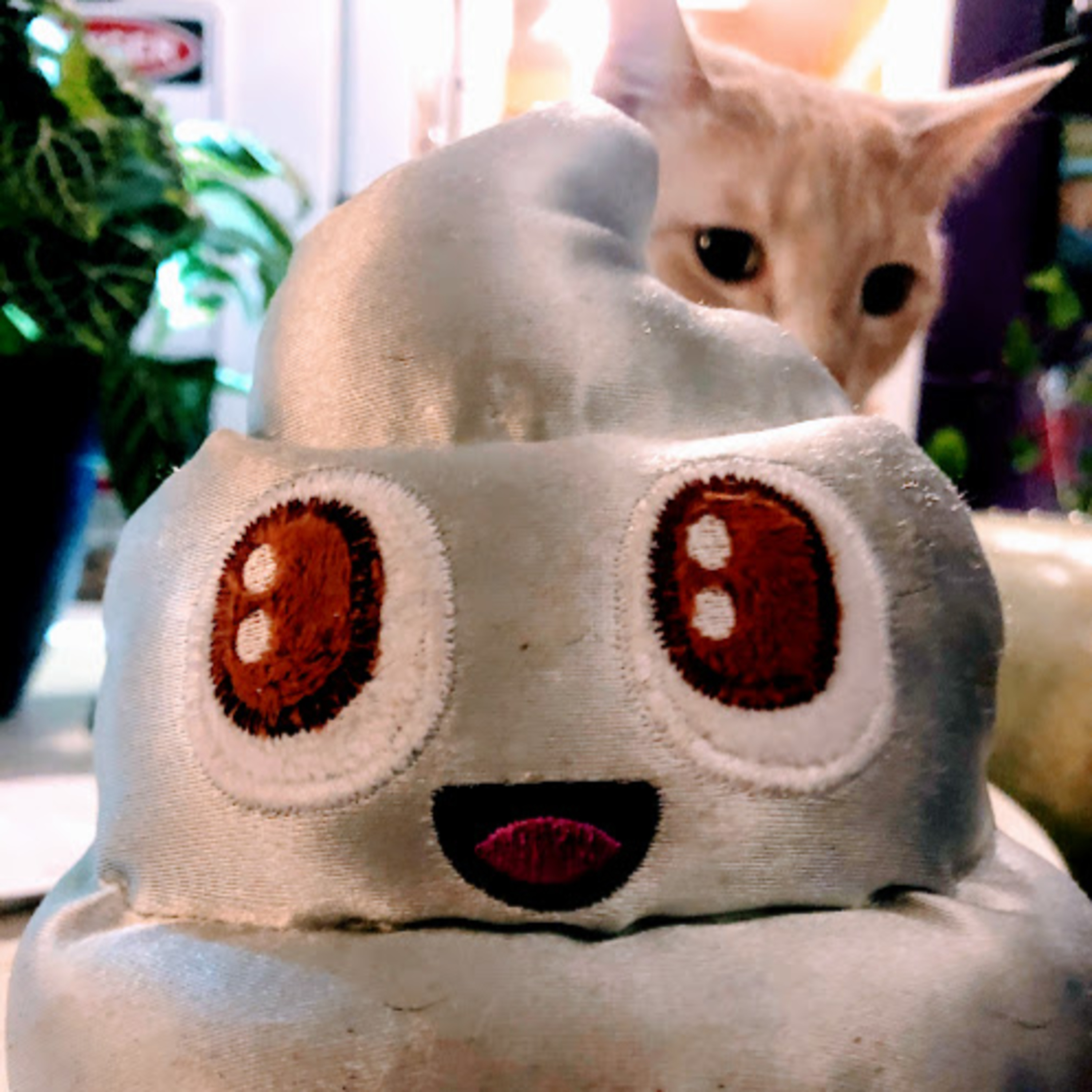 Qweird