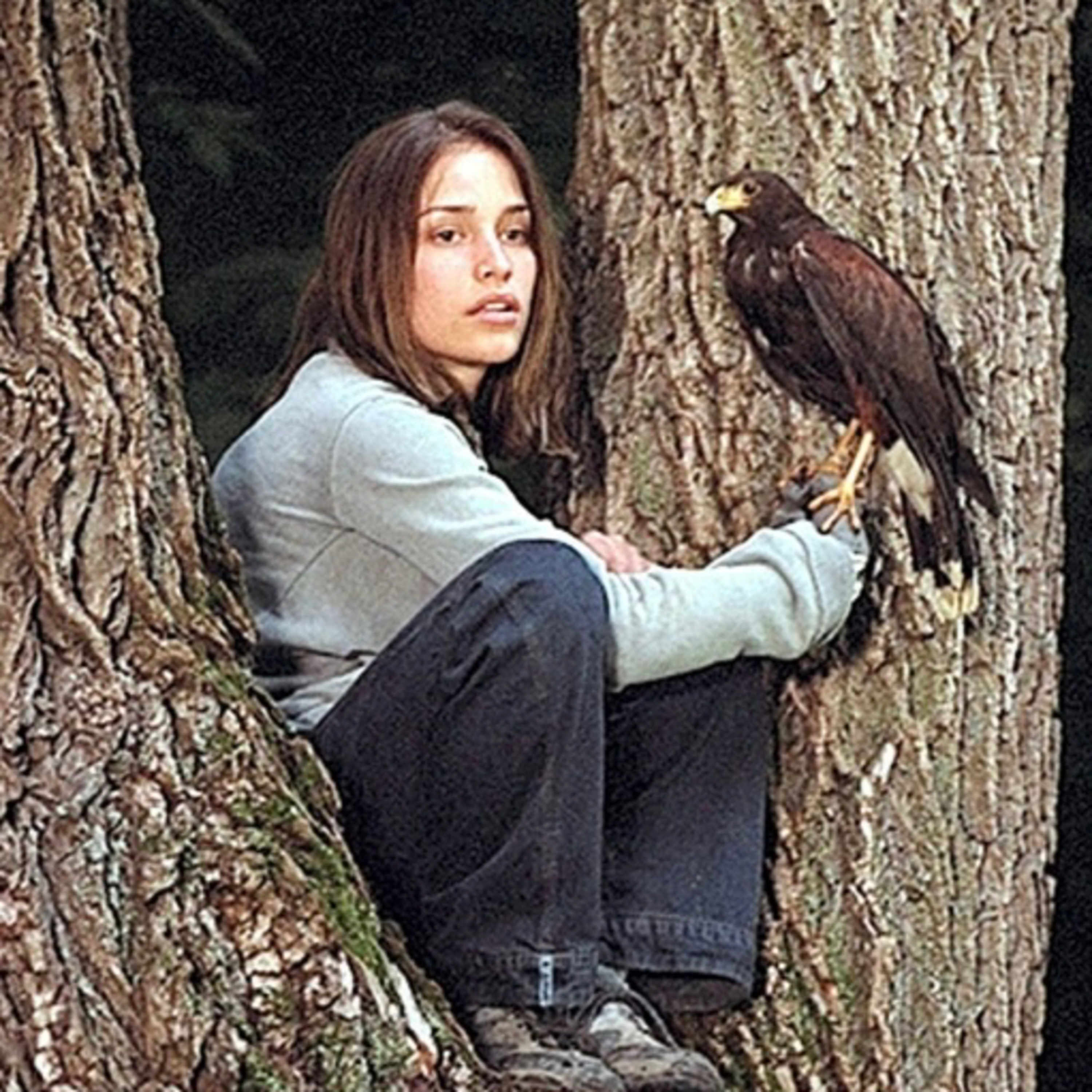 #144 lost and delirious (the raptor edition)