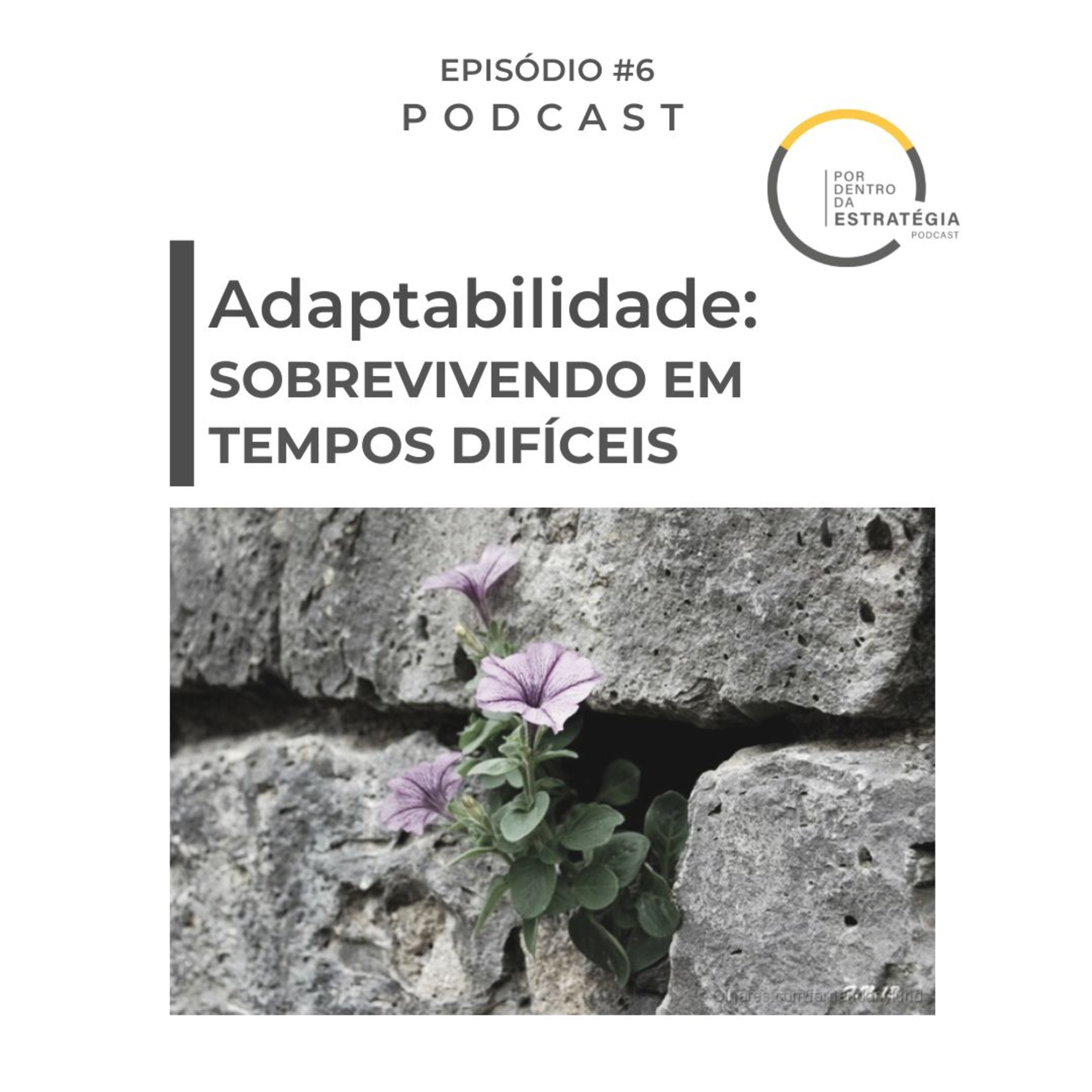 Por Dentro da Estratégia