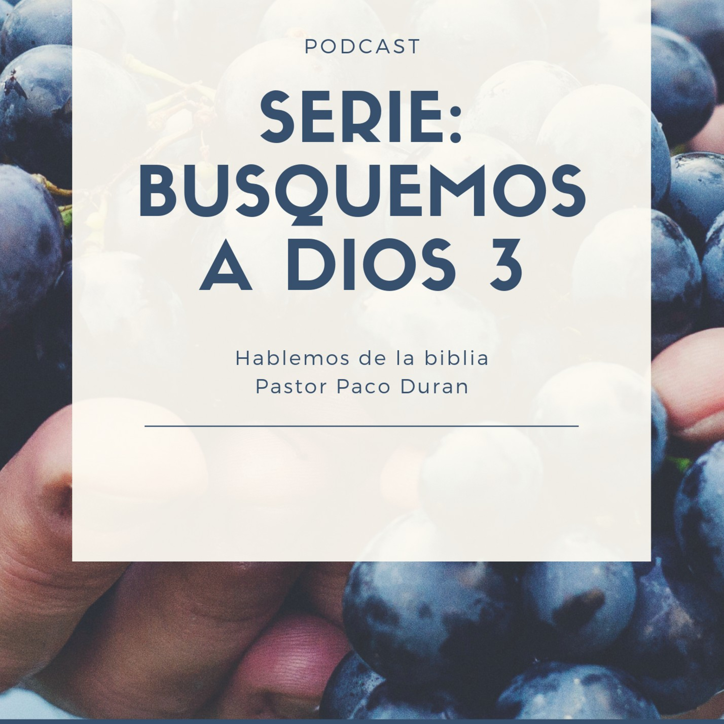 Serie:Busquemos a Dios 3 episode artwork