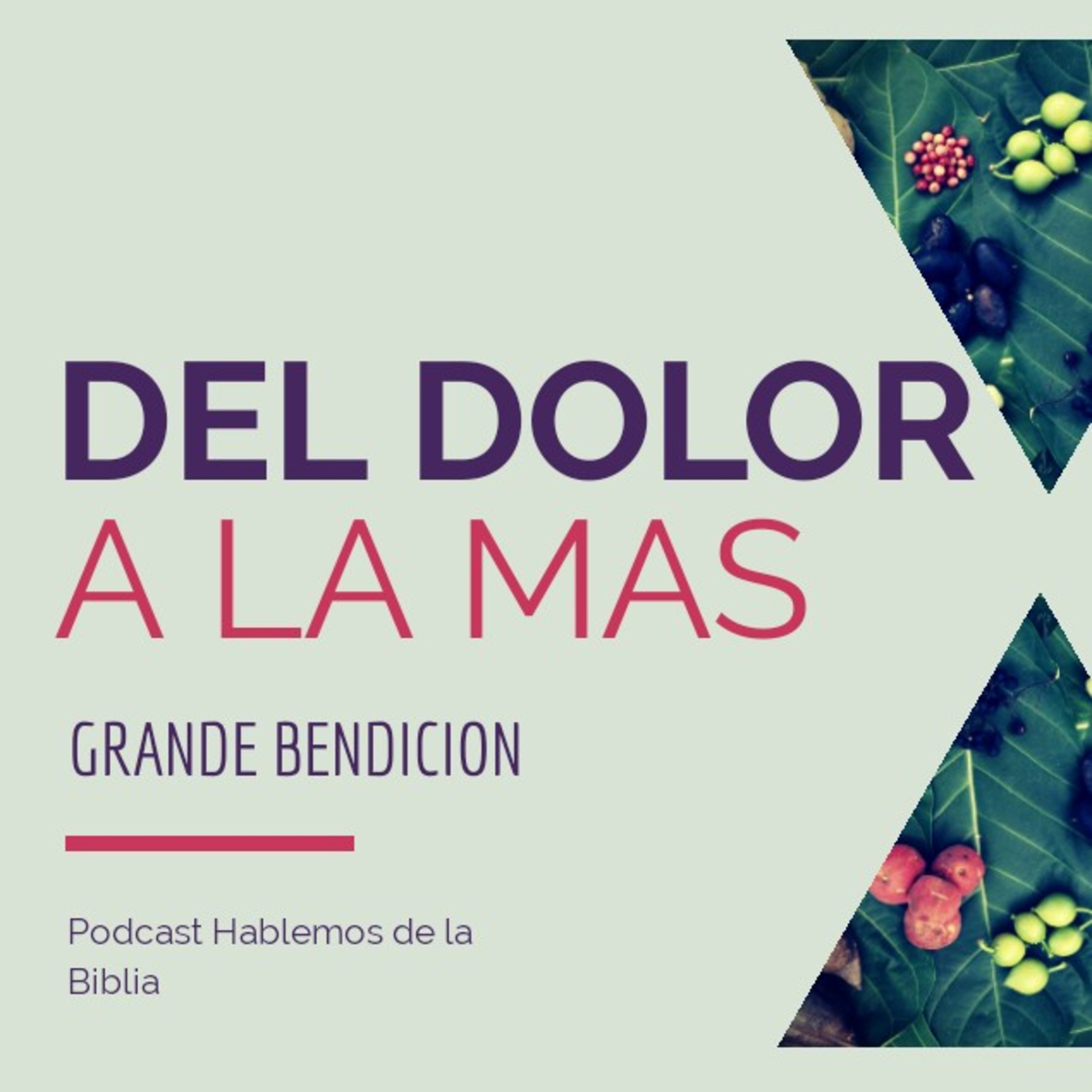 Serie Del dolor más grande a la más grande bendición 1