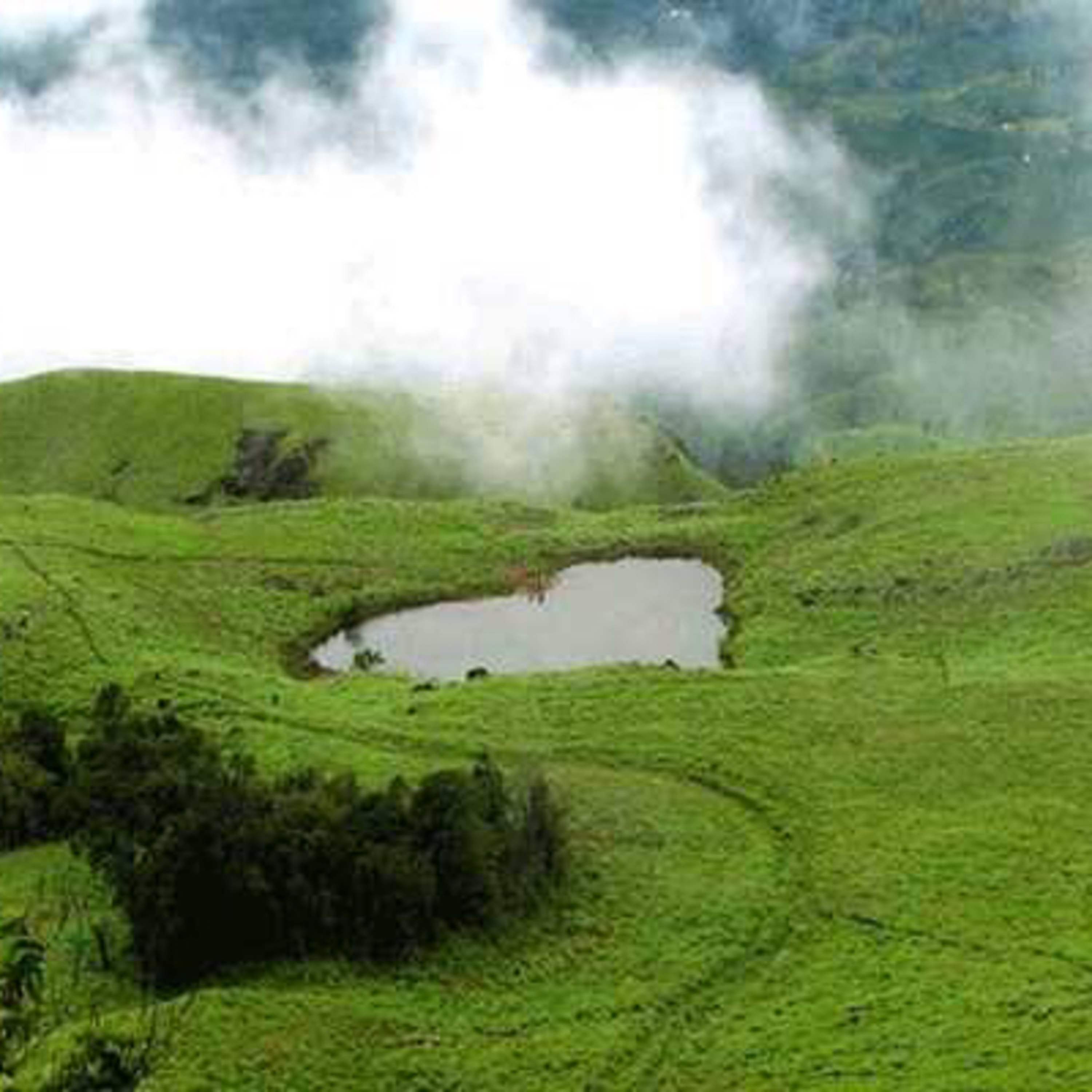 பயணங்கள் WAYANAD TRIP _ KERALA | MADRAS episode artwork