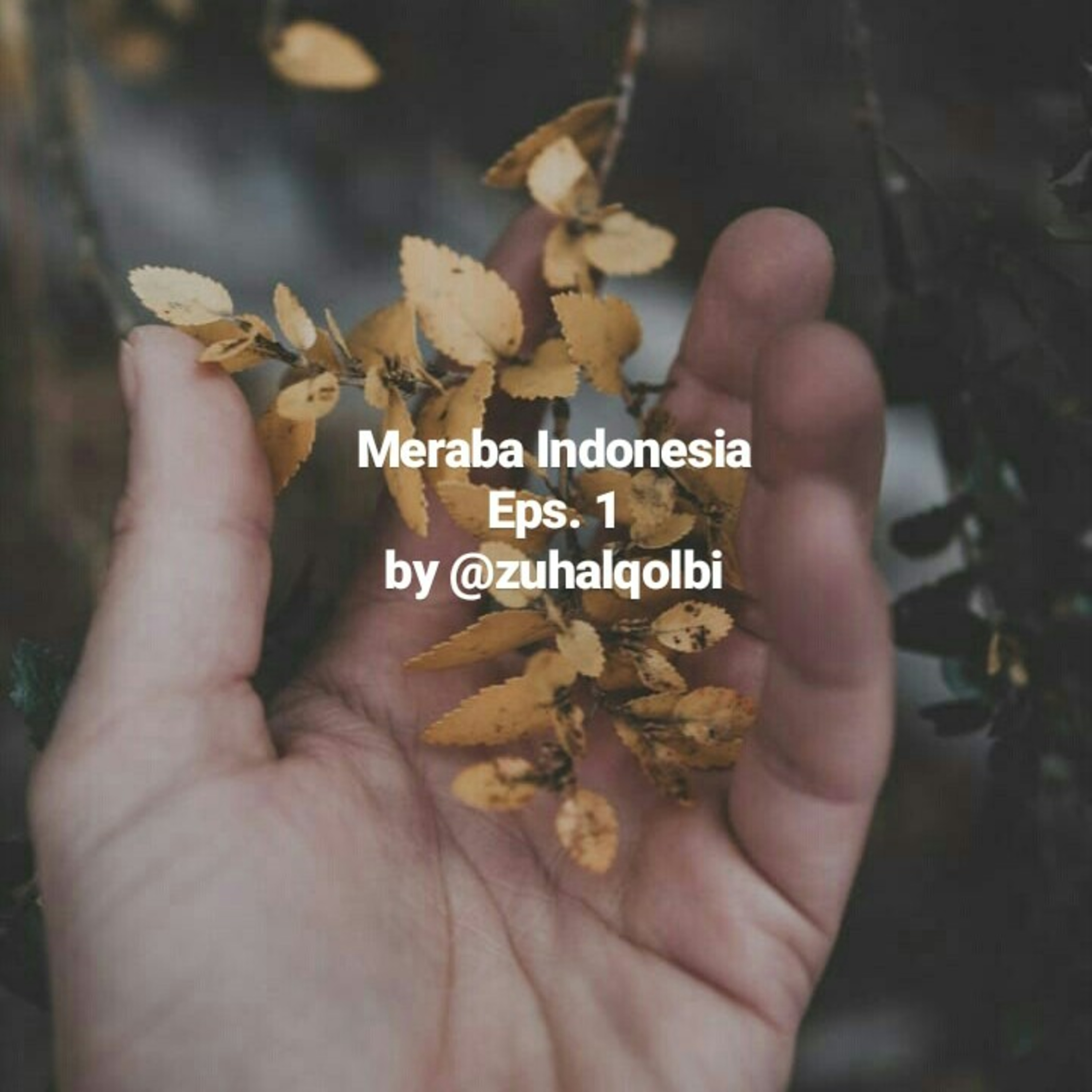 Bicara Perspektif