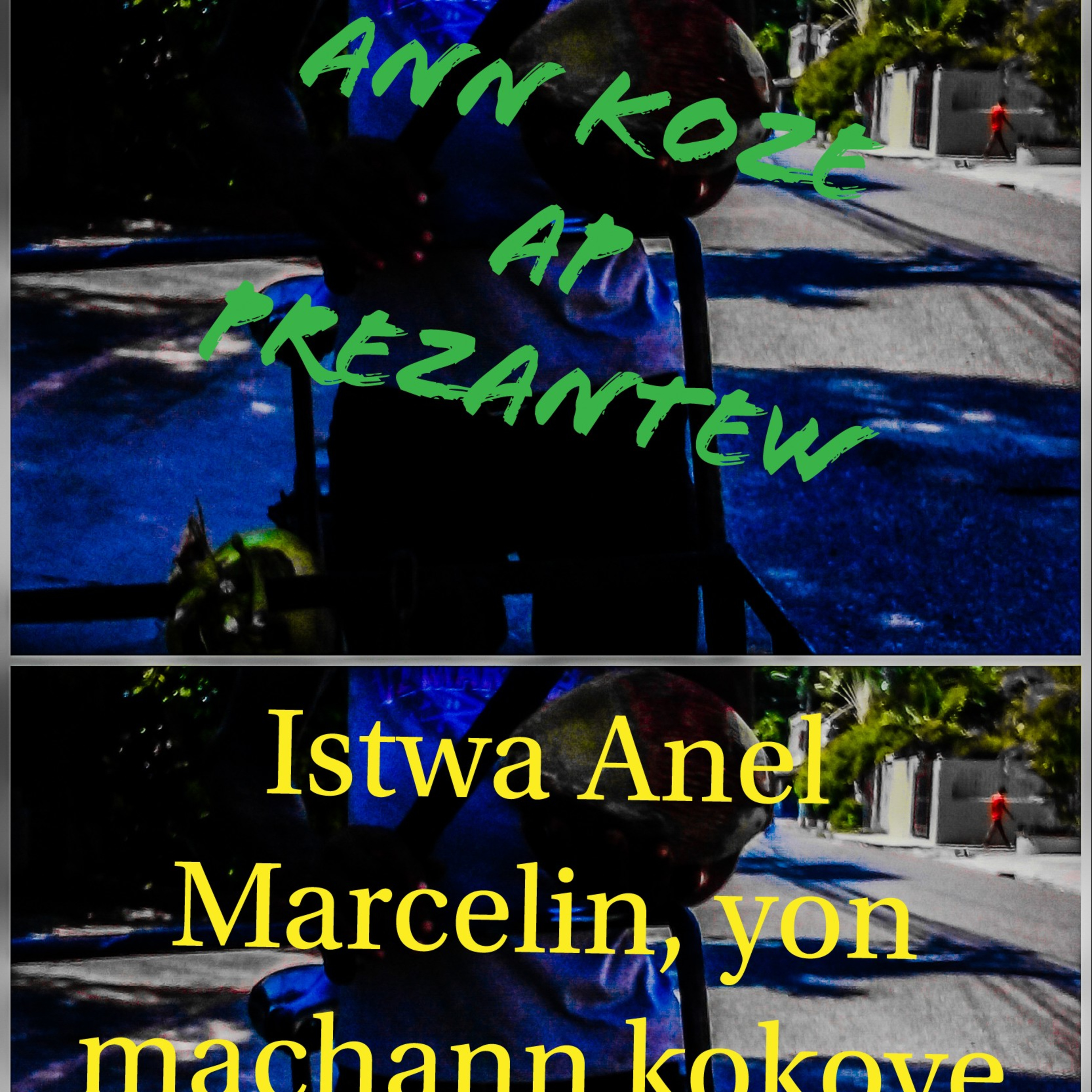 Ann Koze