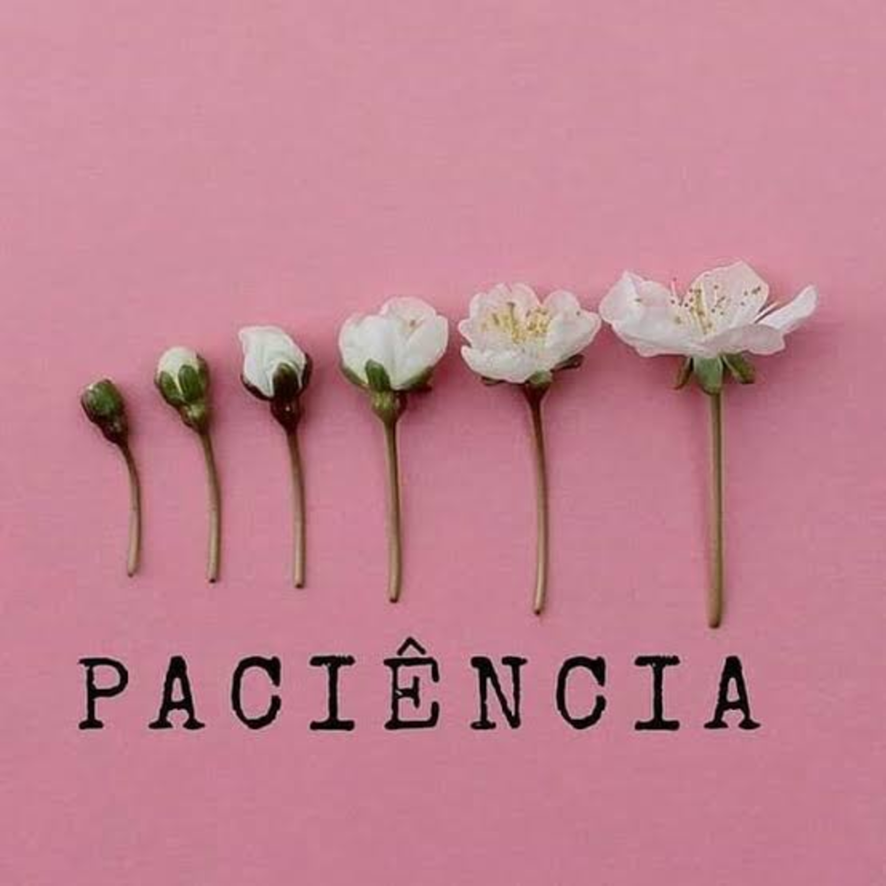 Jornalista Positiva