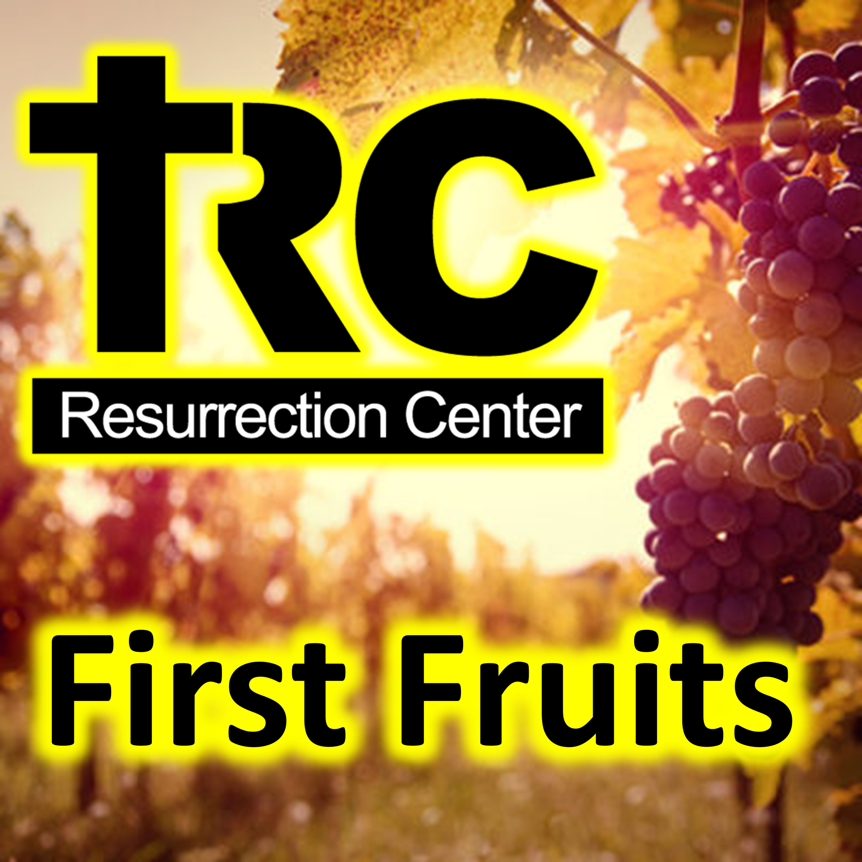 First Fruits - Part 3 - The Divinity of First Fruits episode artwork