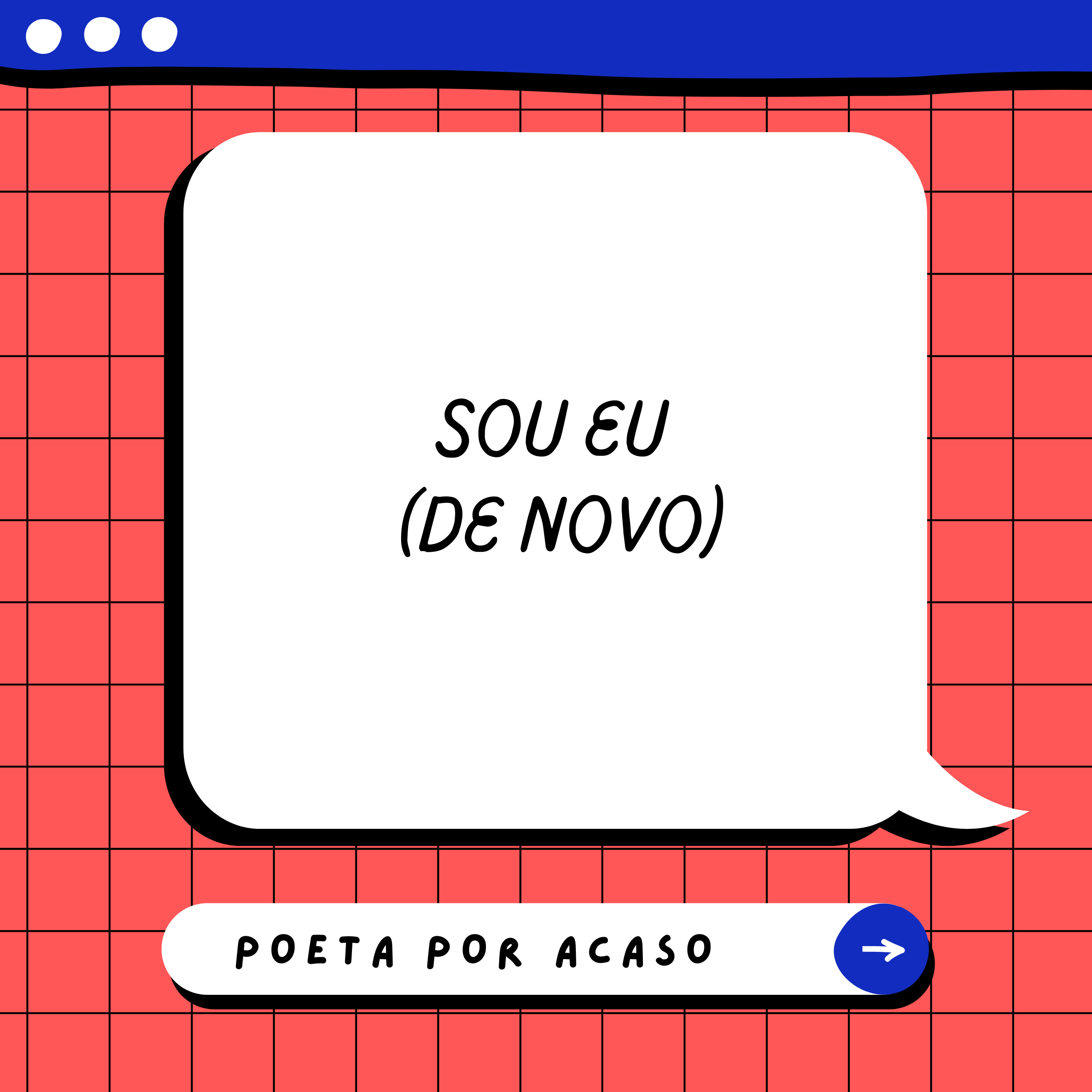Poeta Por Acaso