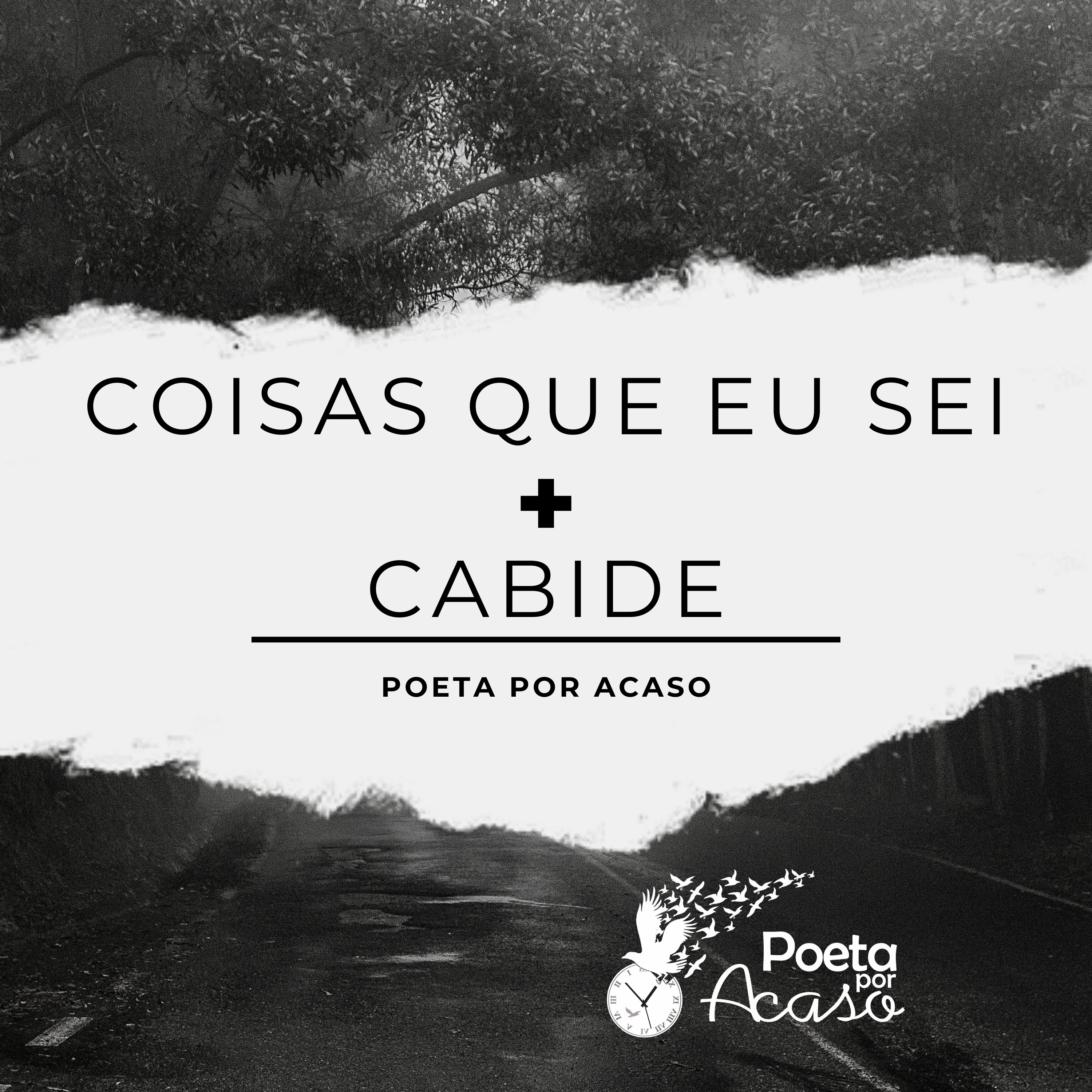 Poeta Por Acaso