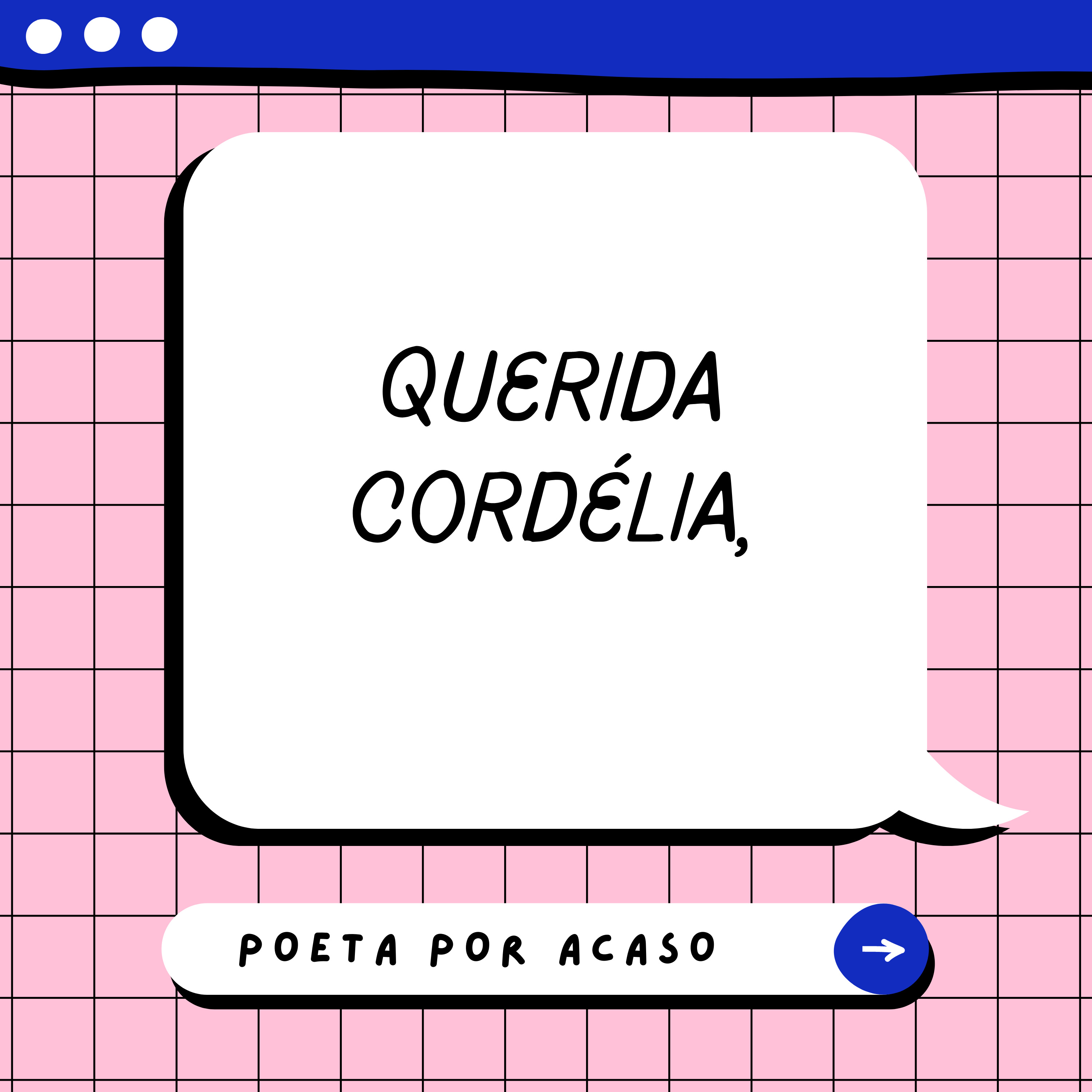 Poeta Por Acaso
