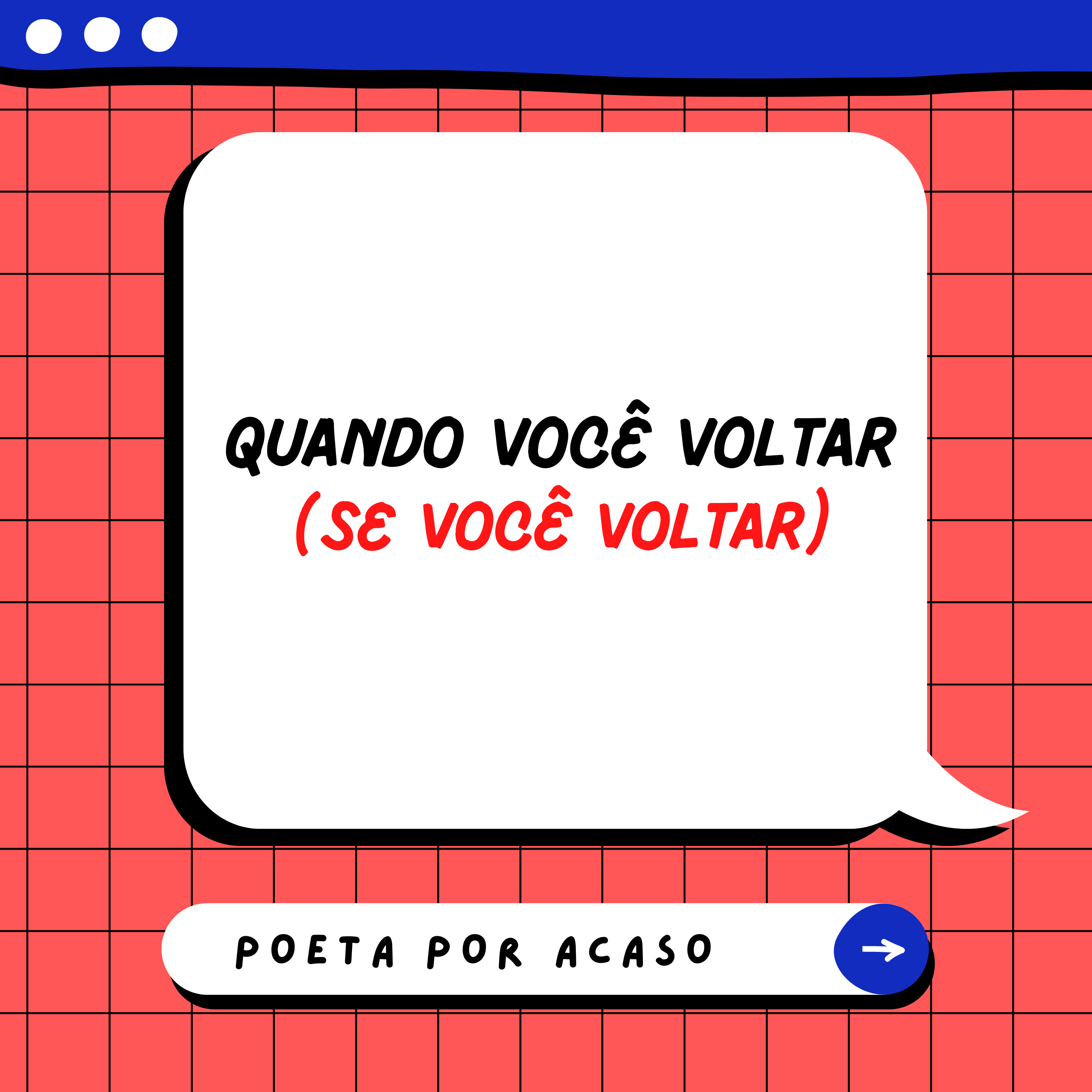 Poeta Por Acaso