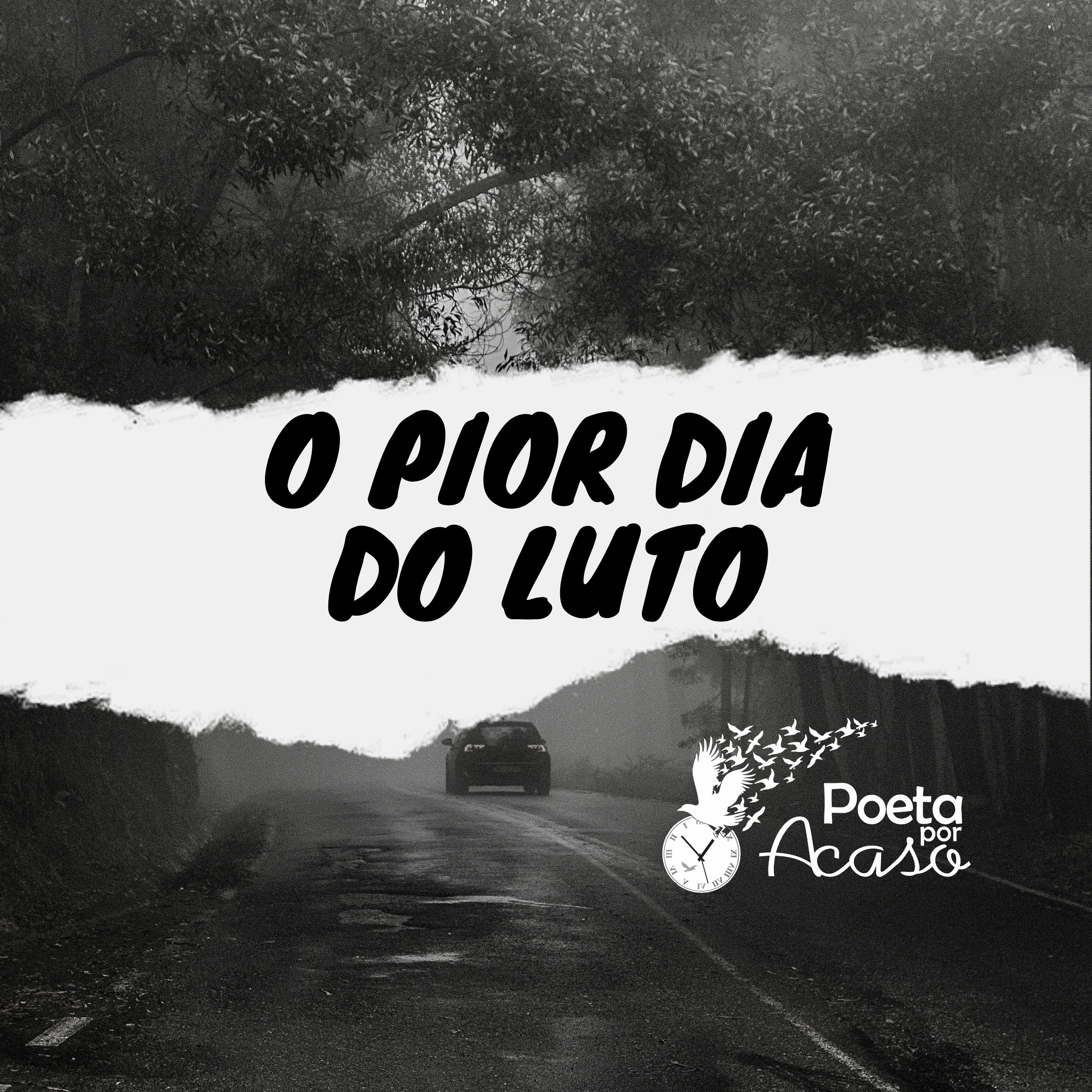 Poeta Por Acaso