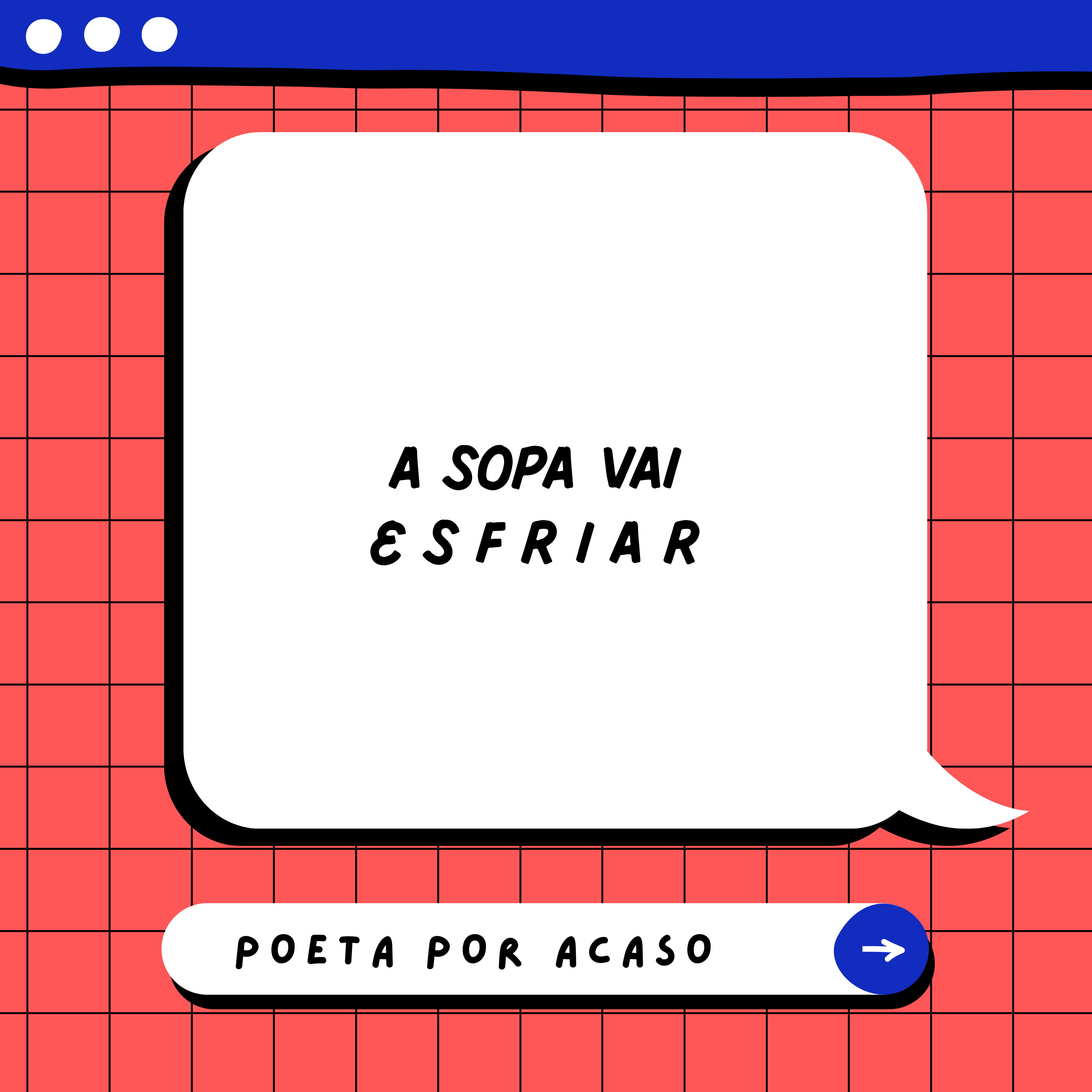 Poeta Por Acaso